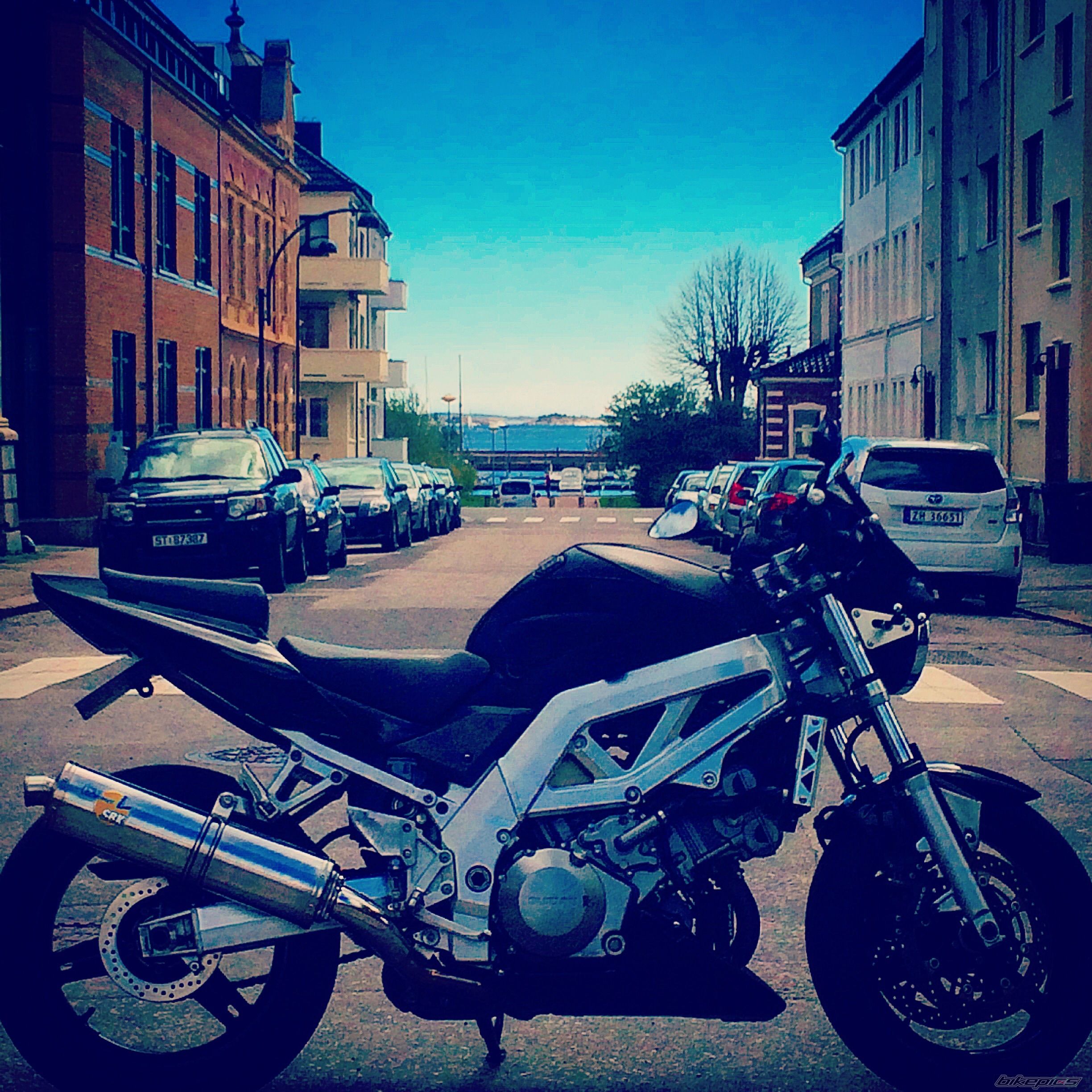 Photo 2738373