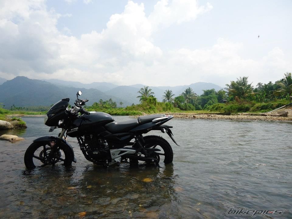 Photo 2738393
