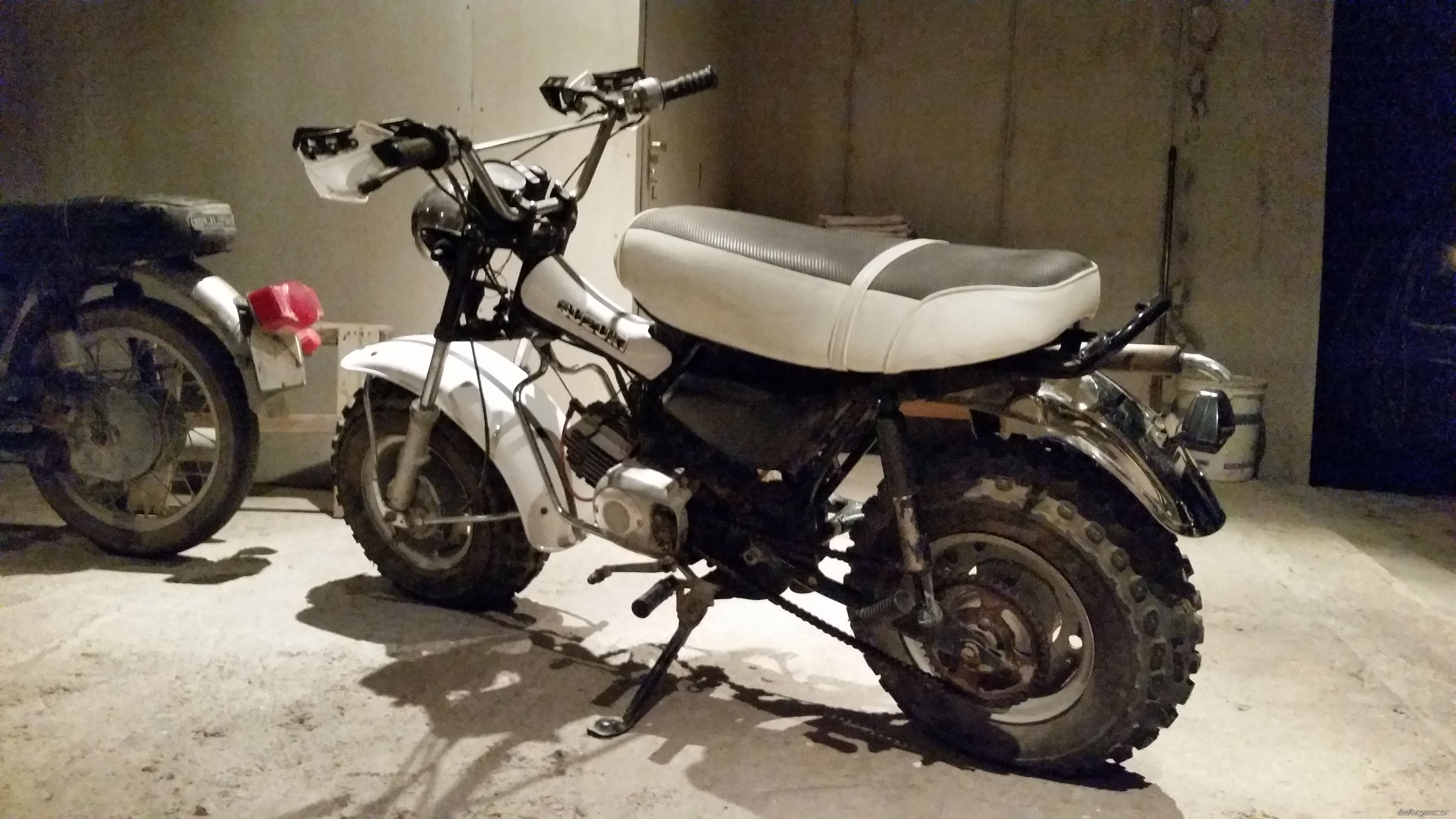 Photo 2738397