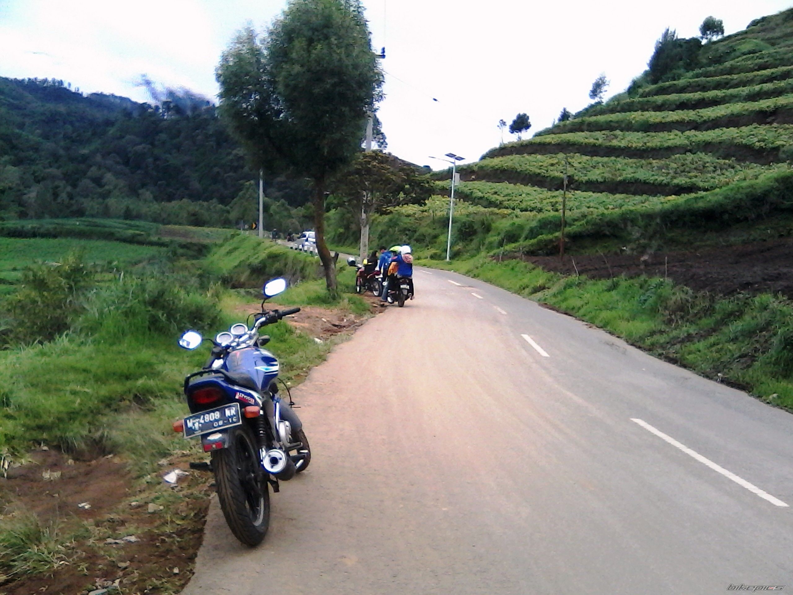 Photo 2738407