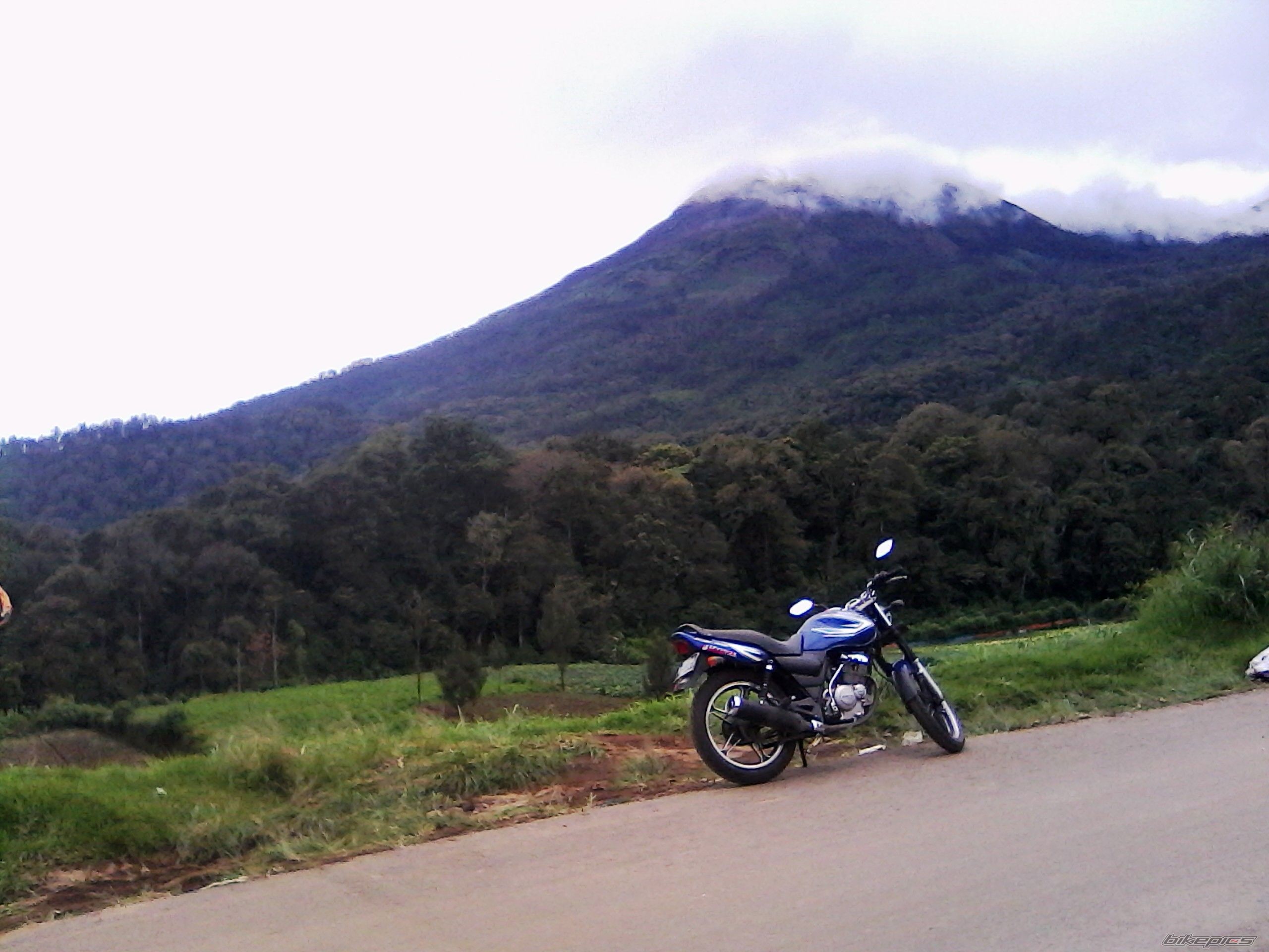 Photo 2738408