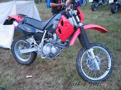 Photo 273850