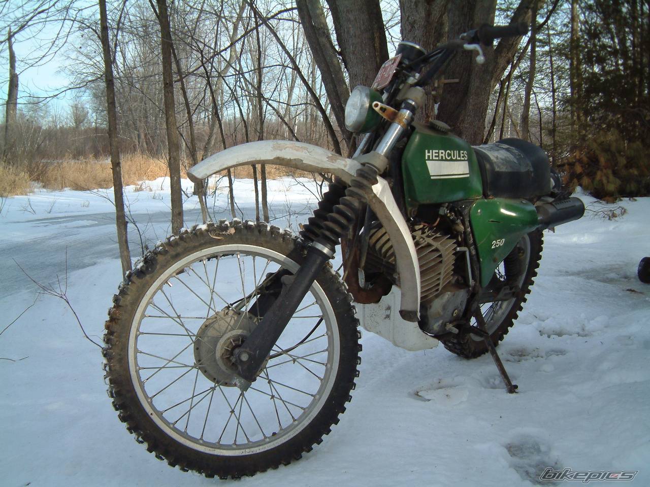 Photo 273851