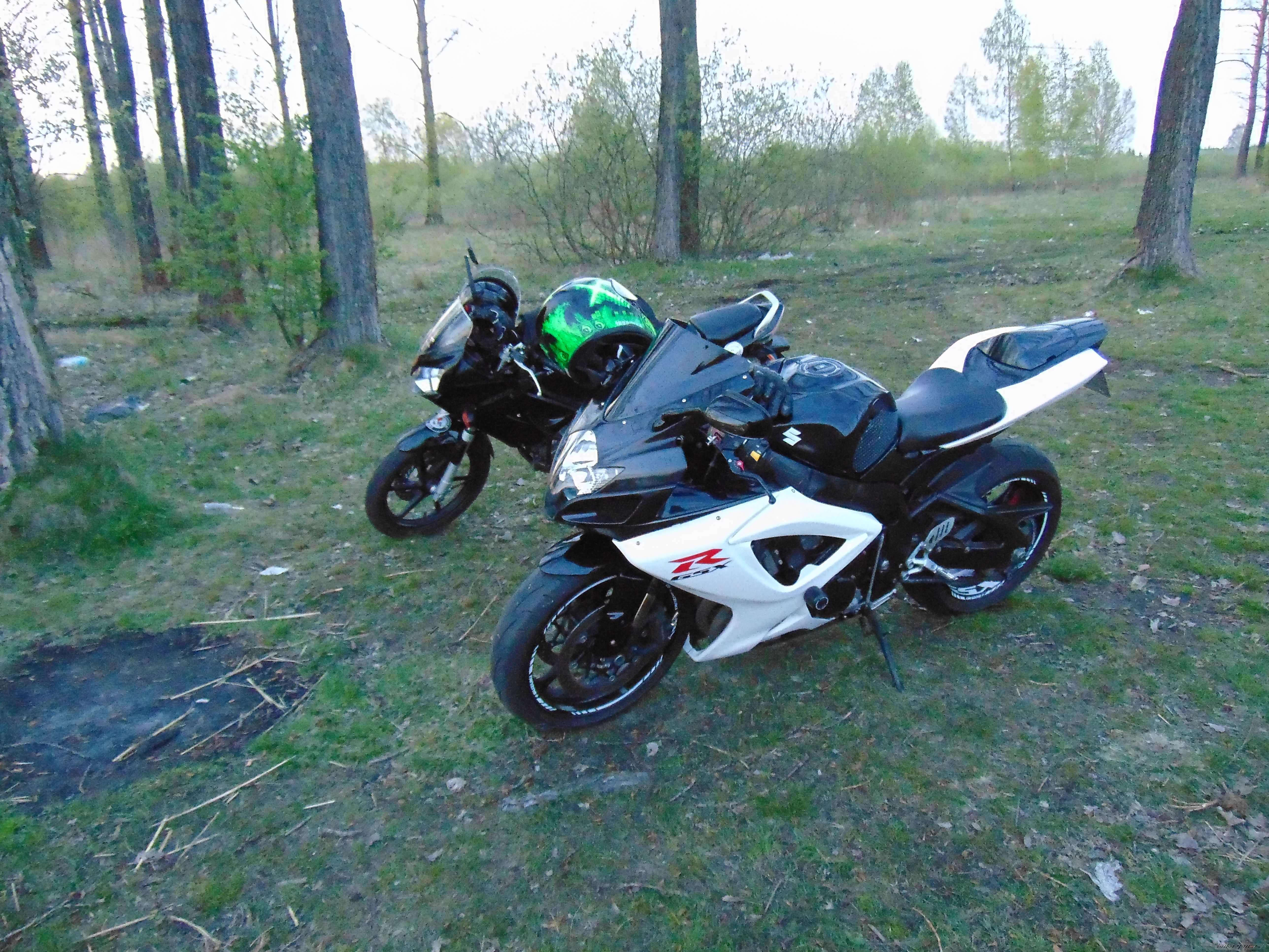 Photo 2738551