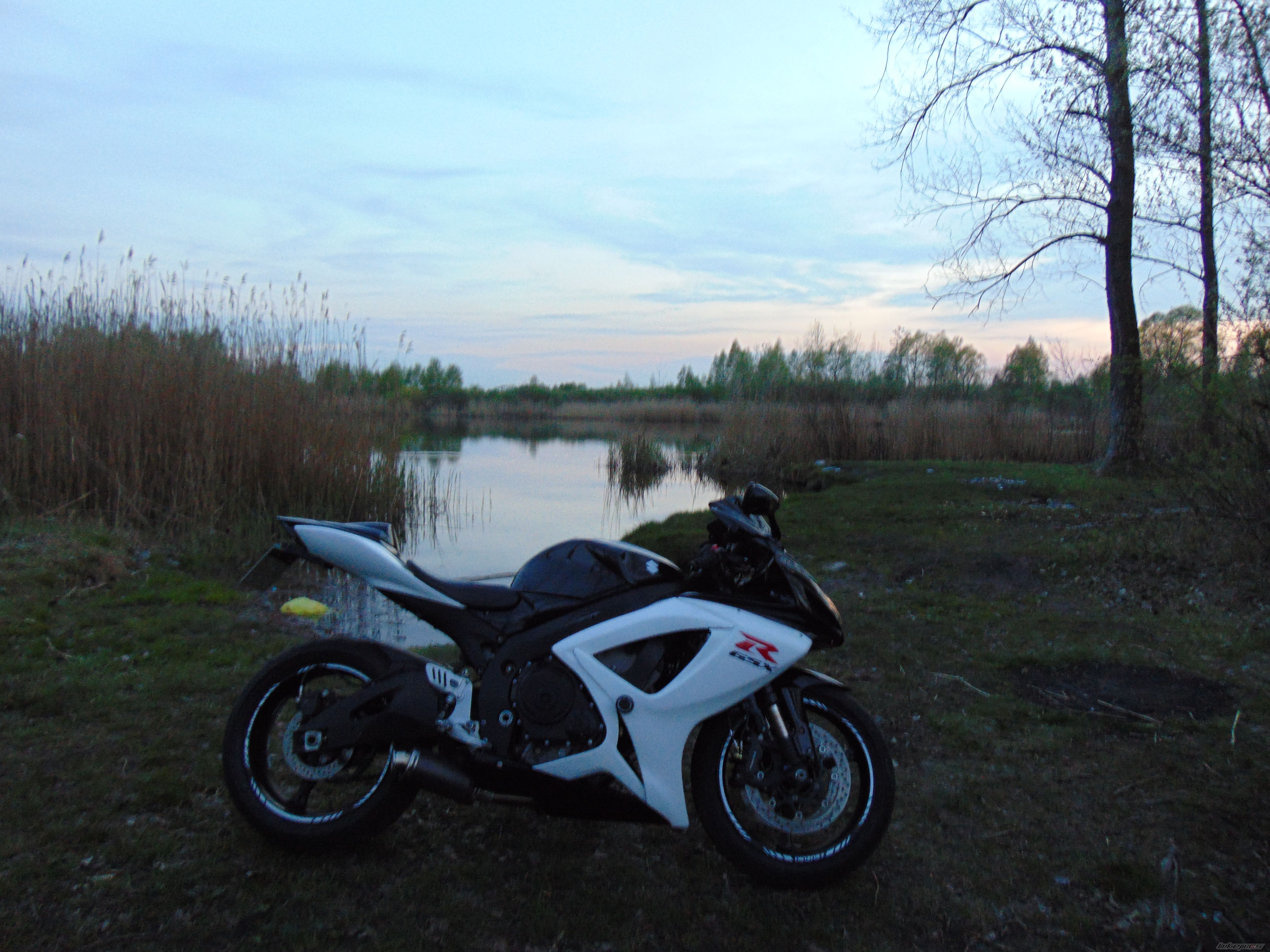 Photo 2738557