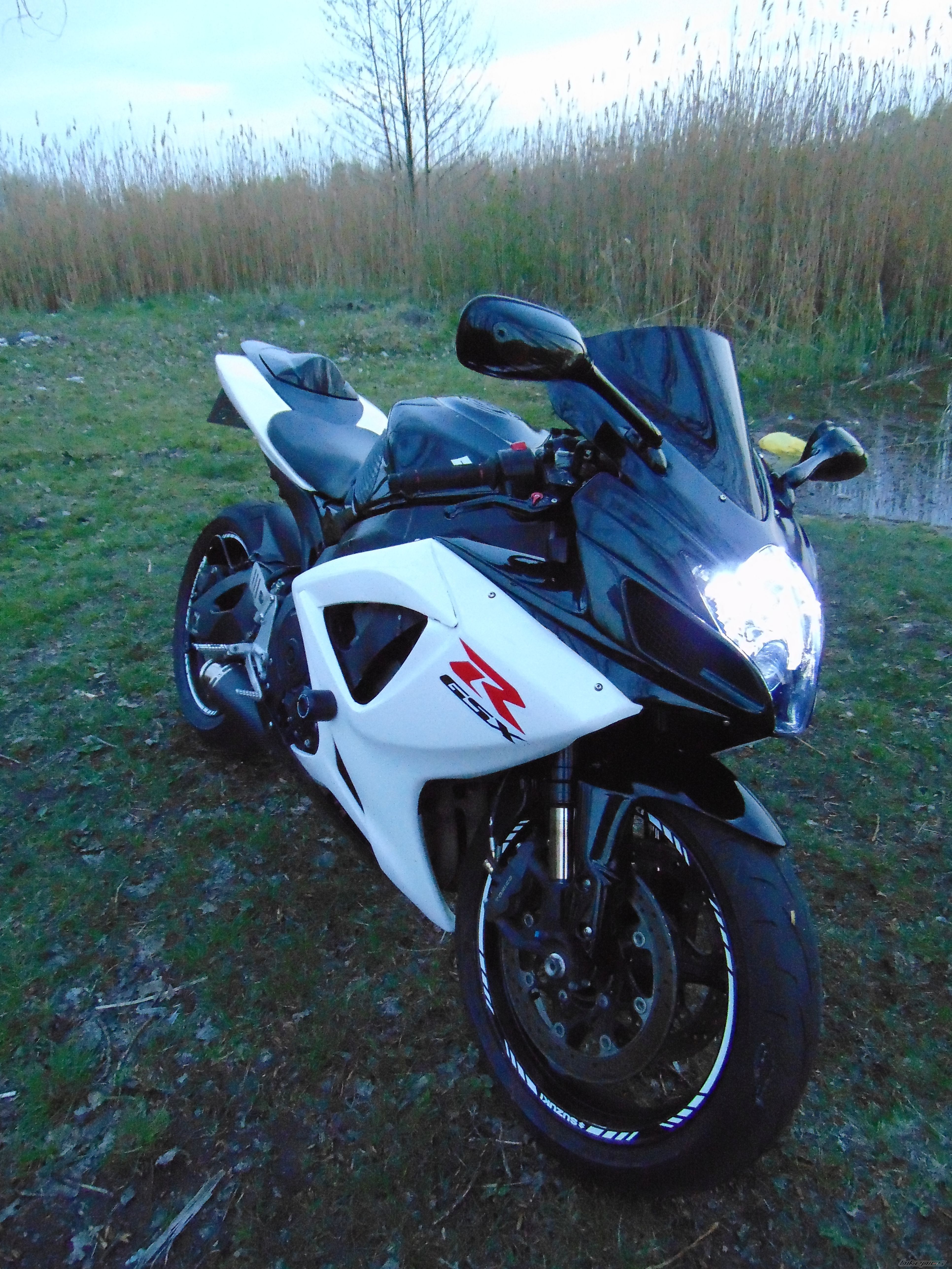 Photo 2738560