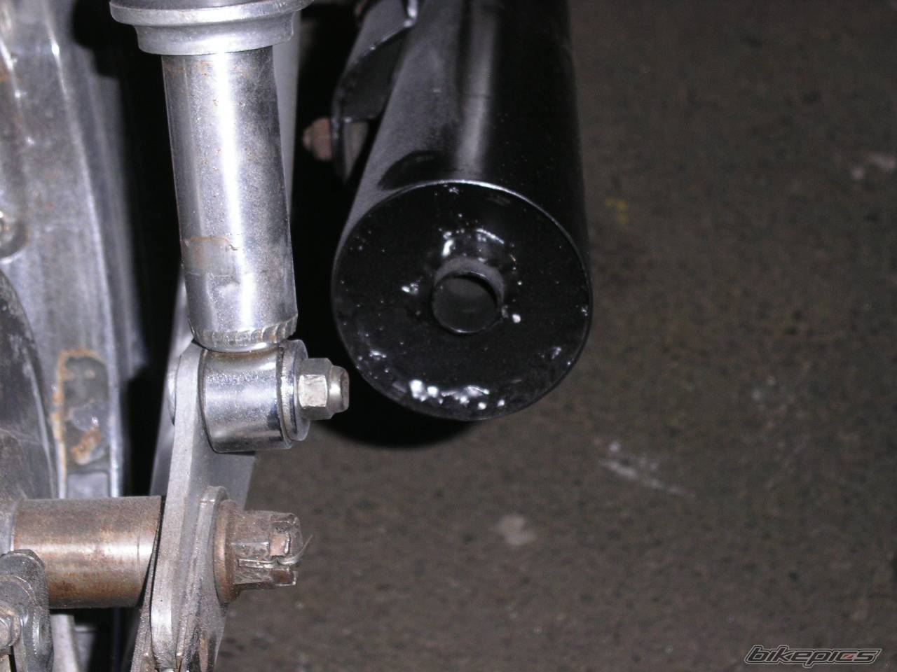 Photo 273857
