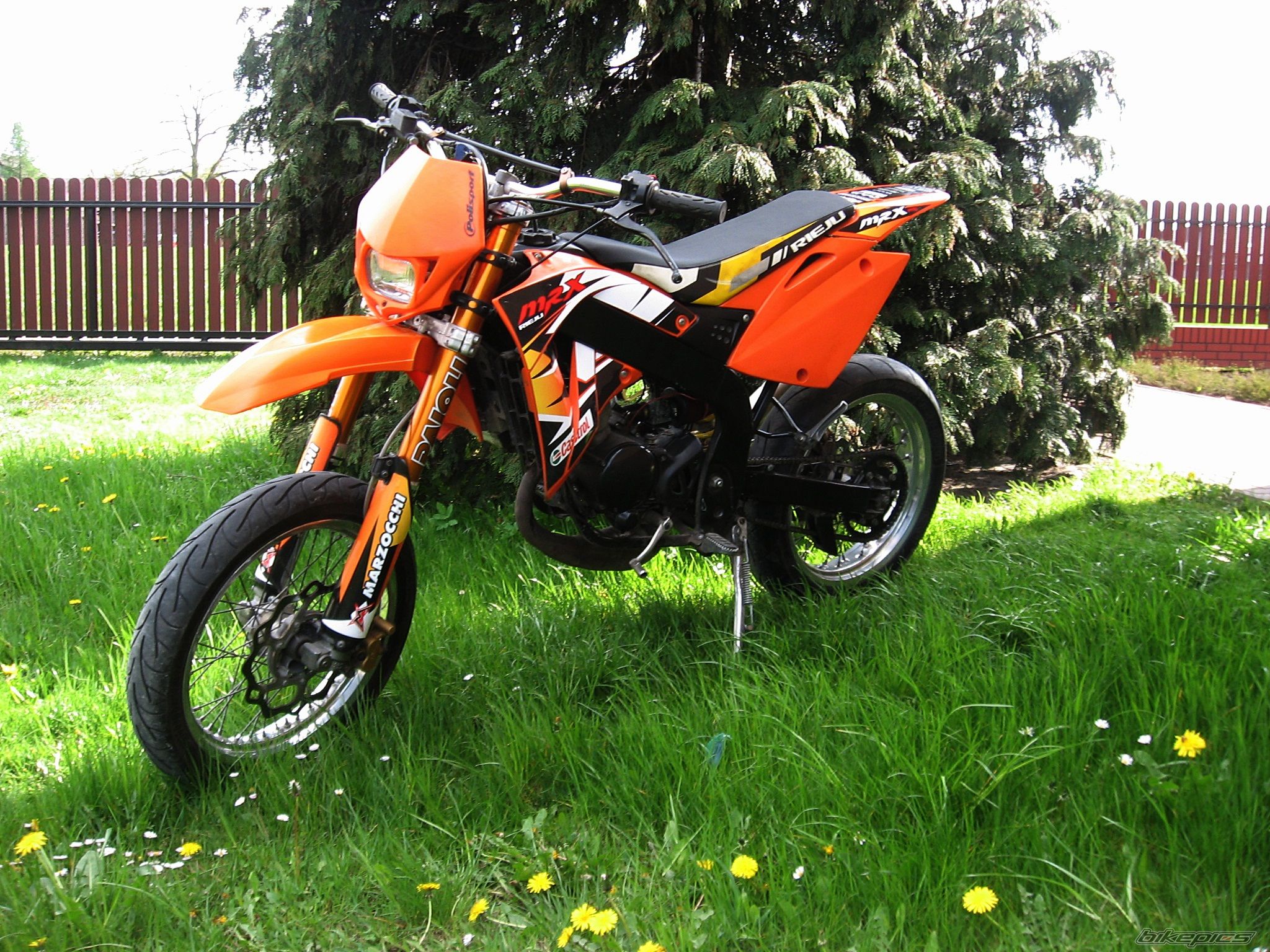 Photo 2738660