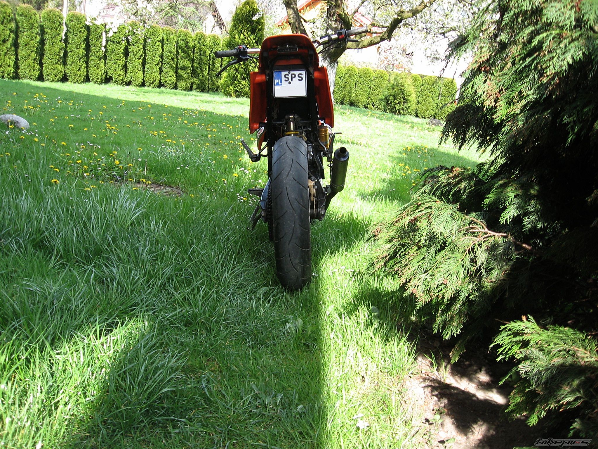 Photo 2738664