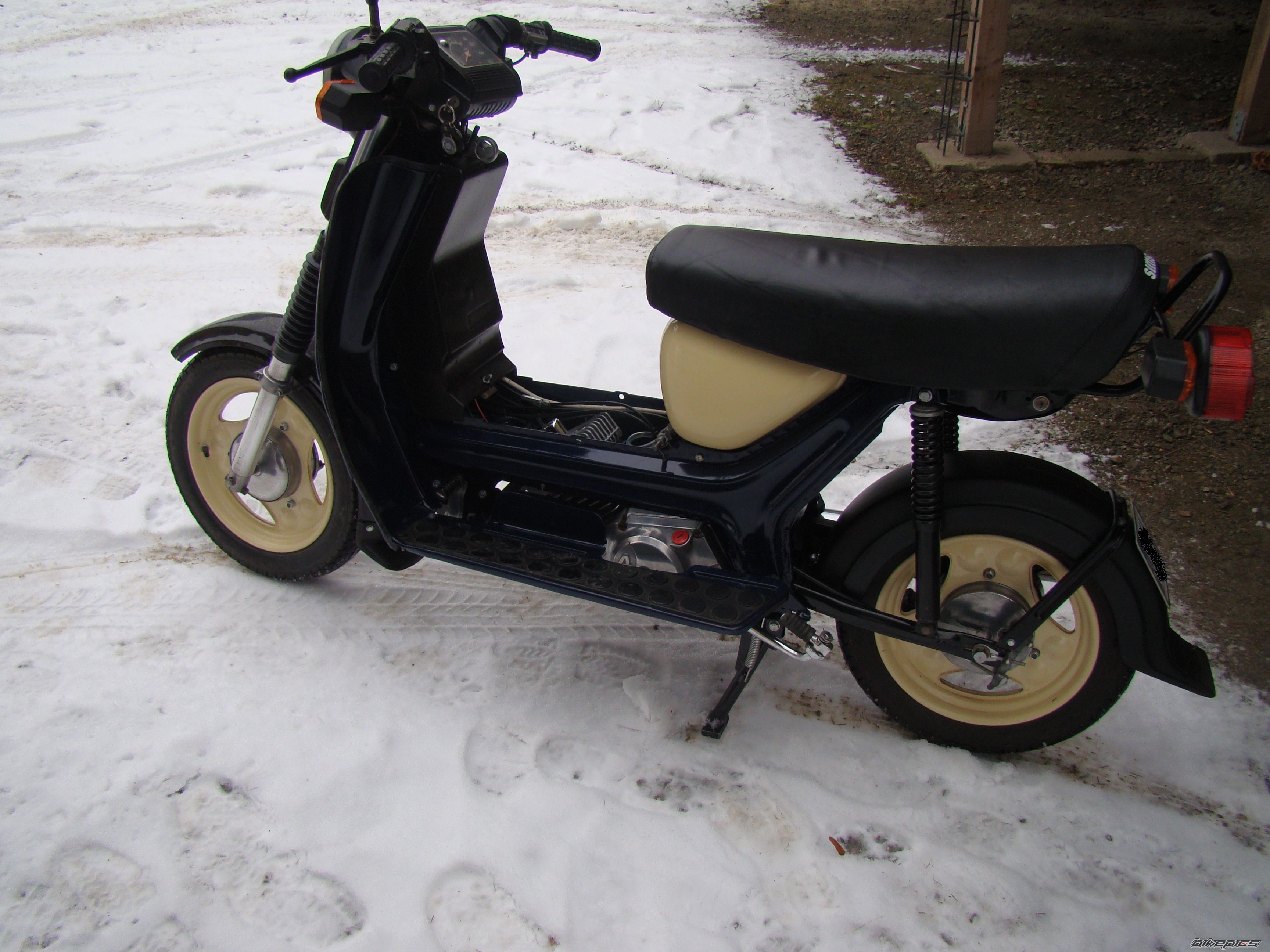 Photo 2738694