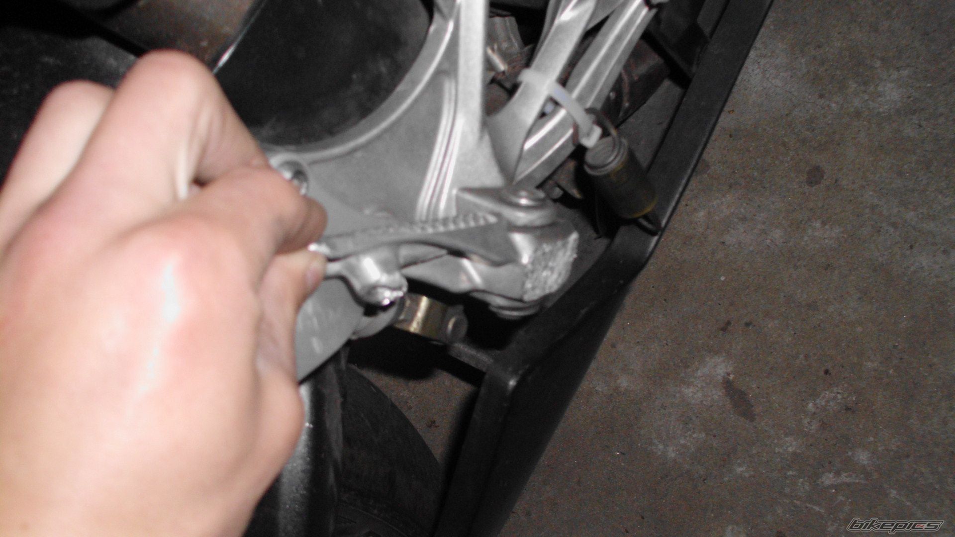 Photo 2738785