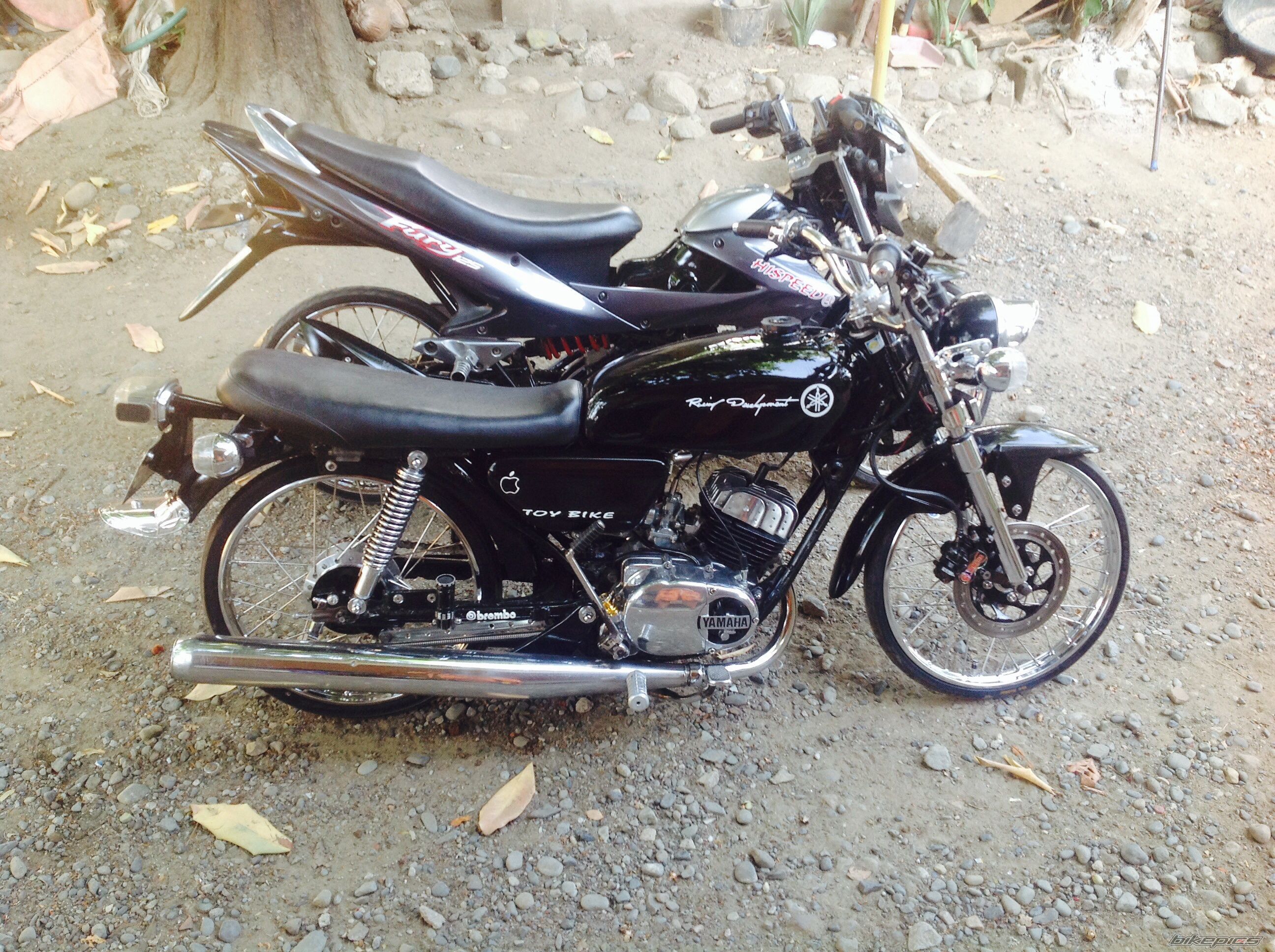 Photo 2738817