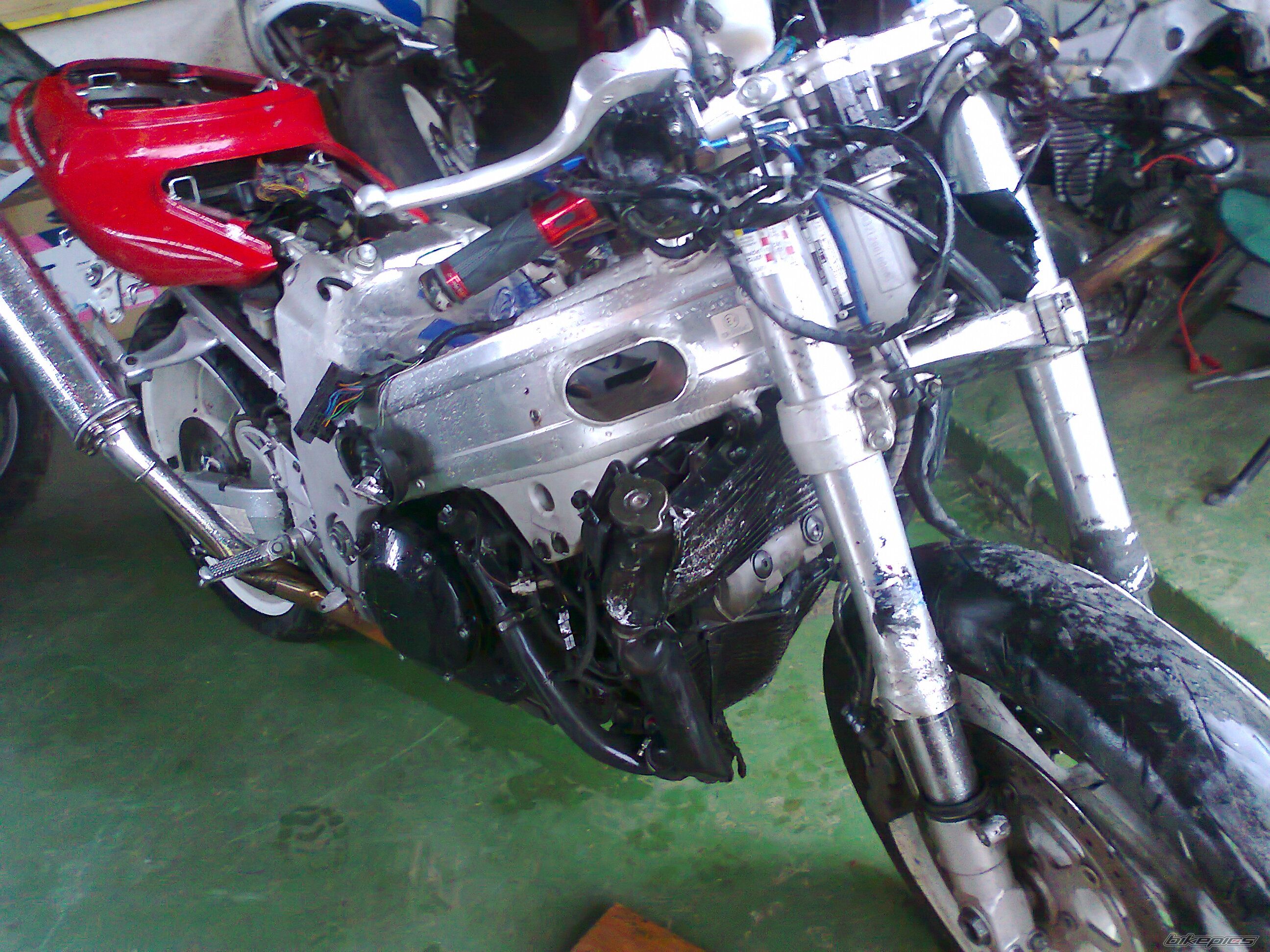 Photo 2738886