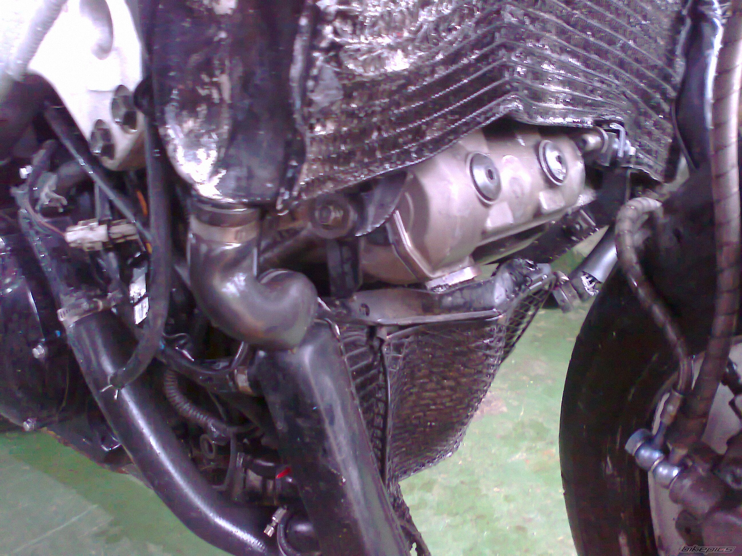 Photo 2738888