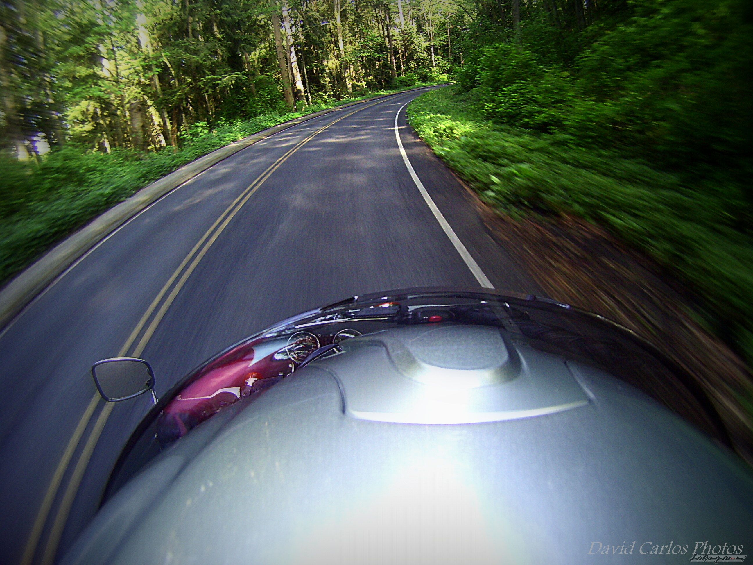 Photo 2738890