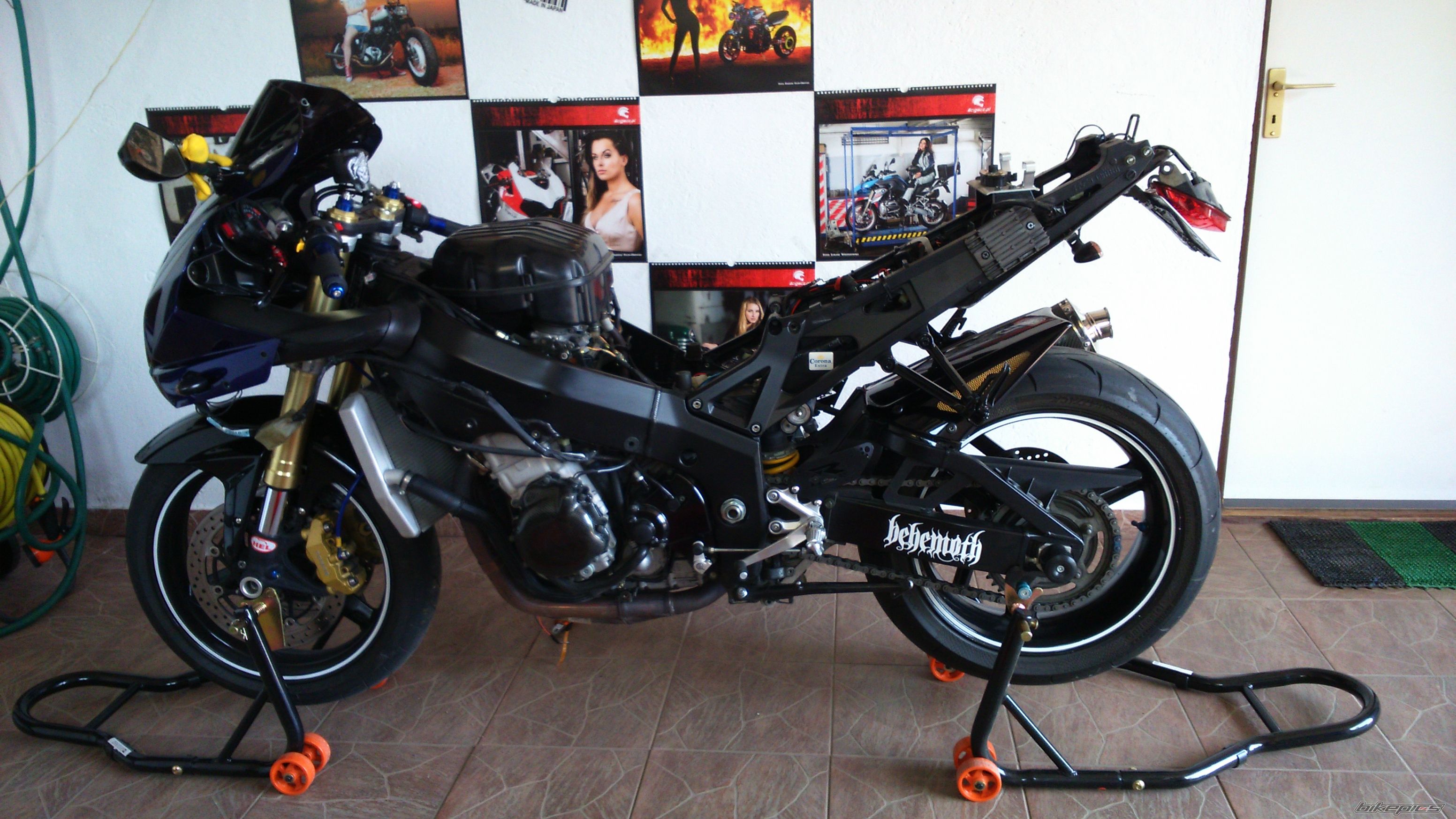 Photo 2738909