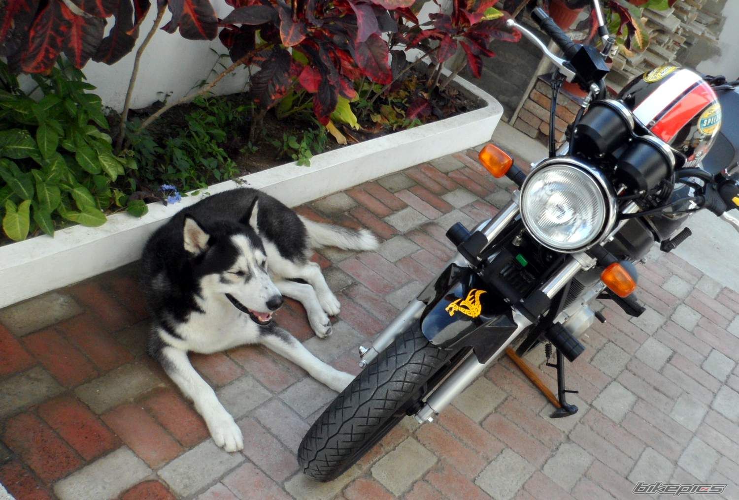 Photo 2738918