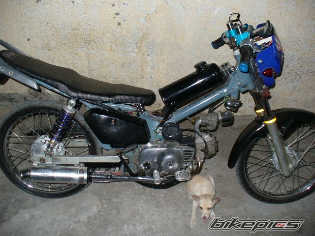 Photo 2738961