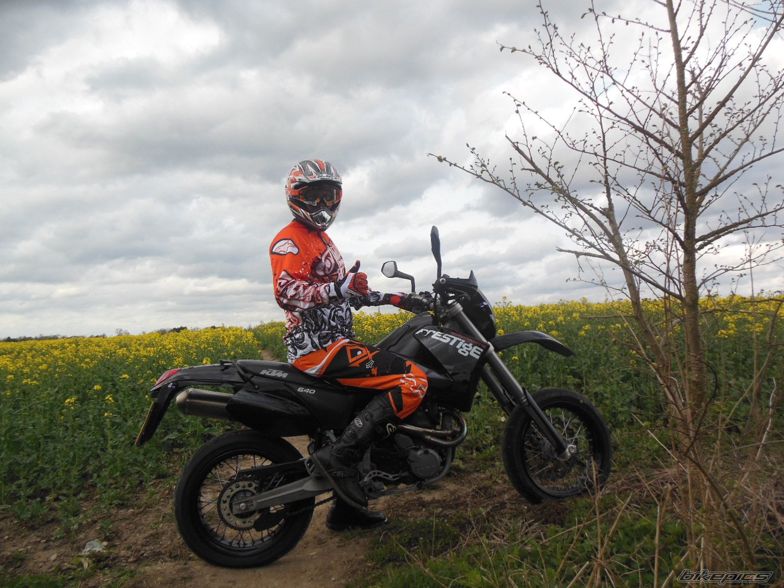 Photo 2739289