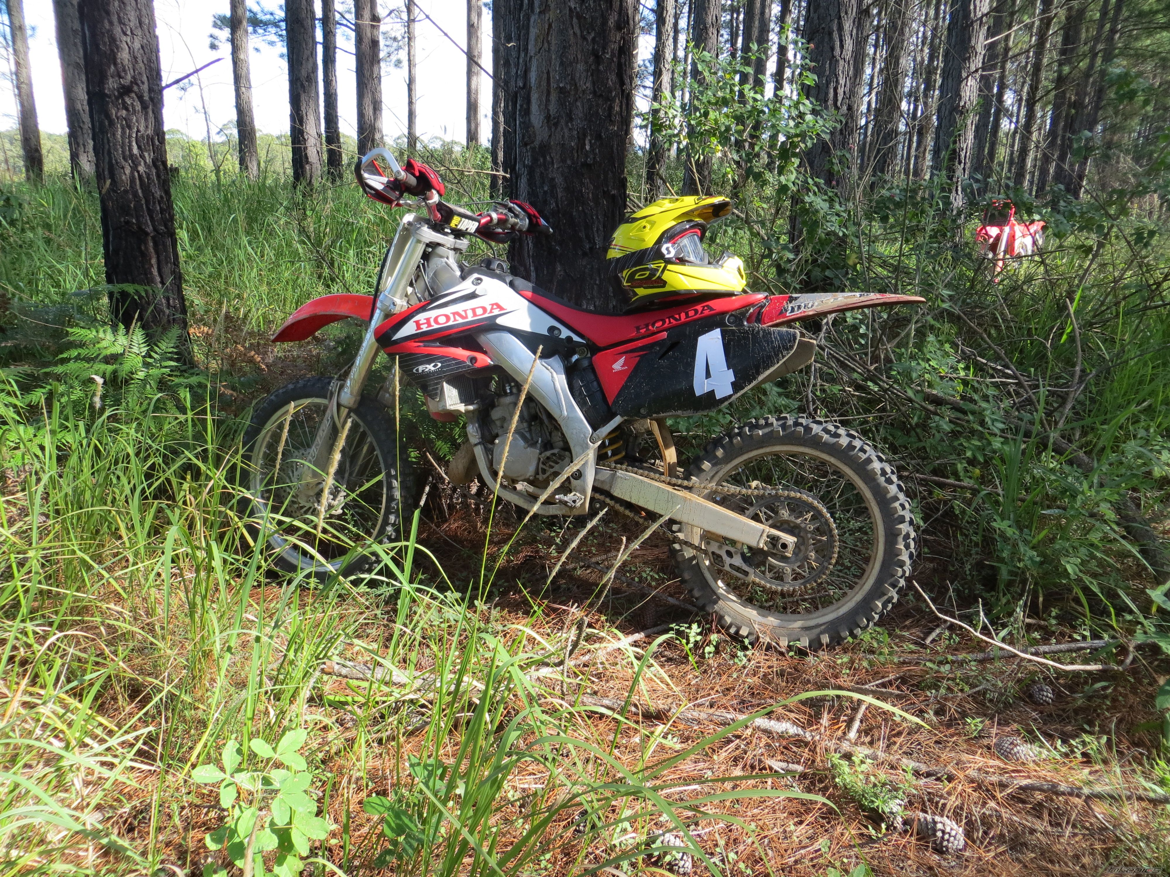 Photo 2739298