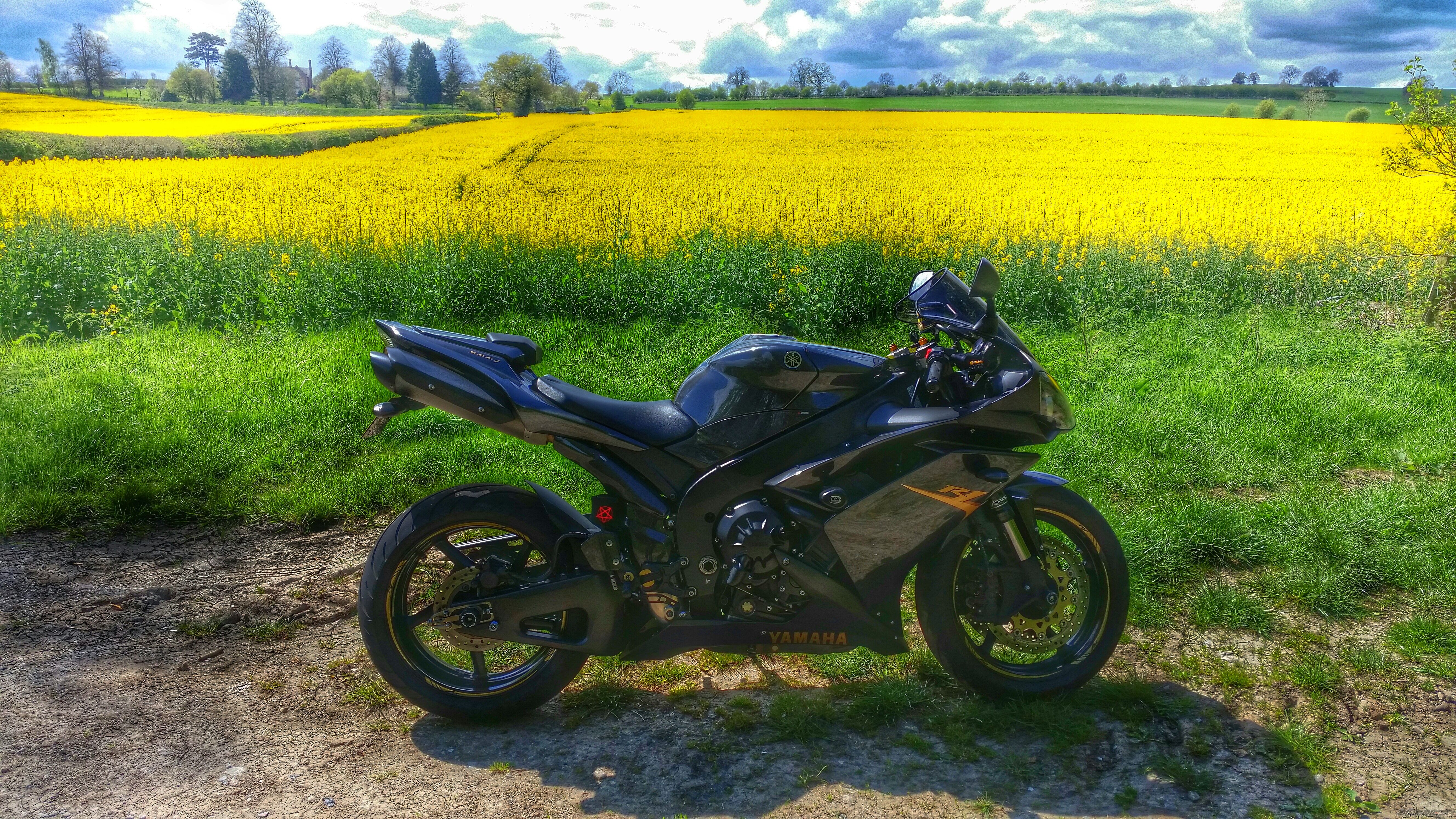 Photo 2739309