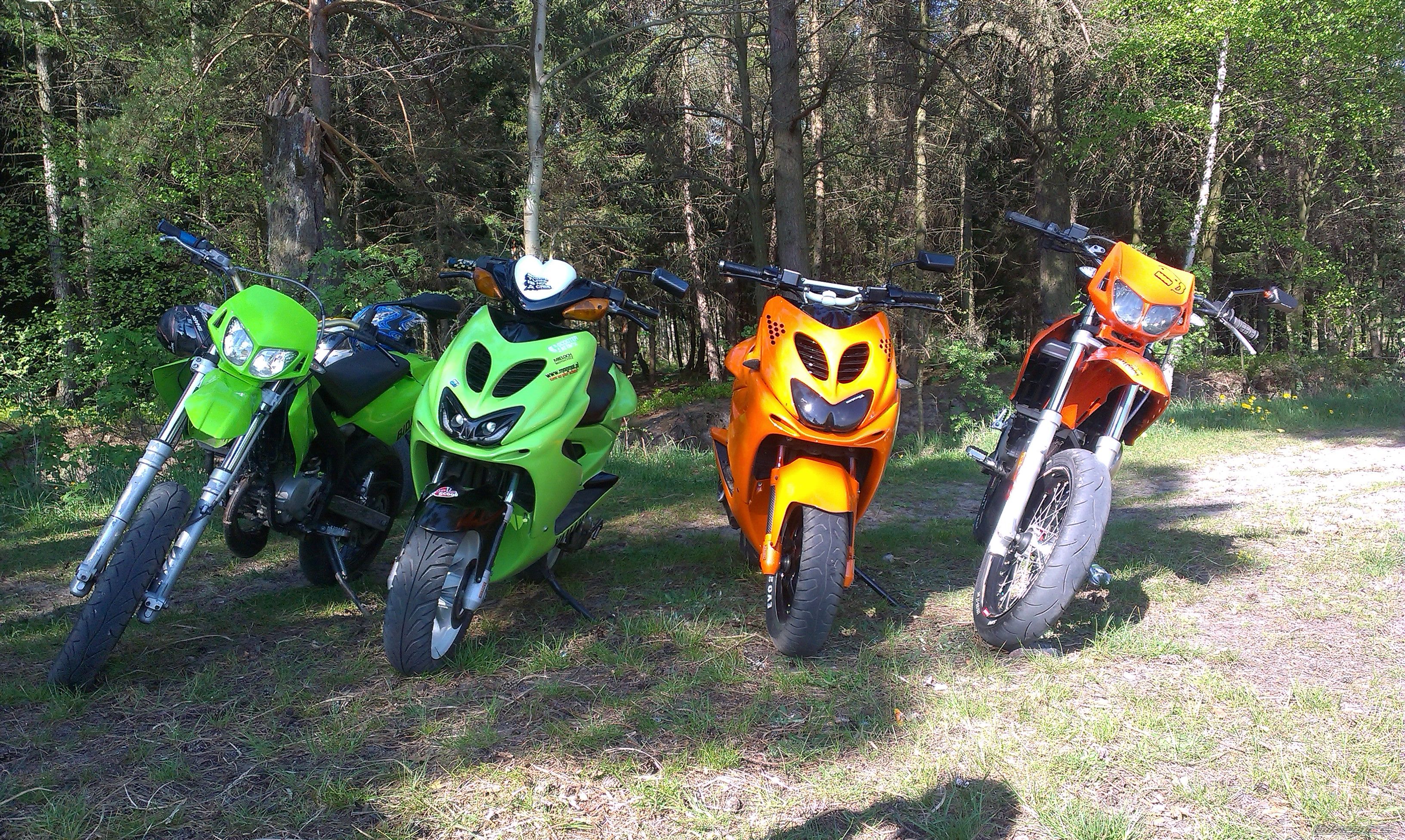Photo 2739319