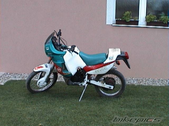 Photo 273932