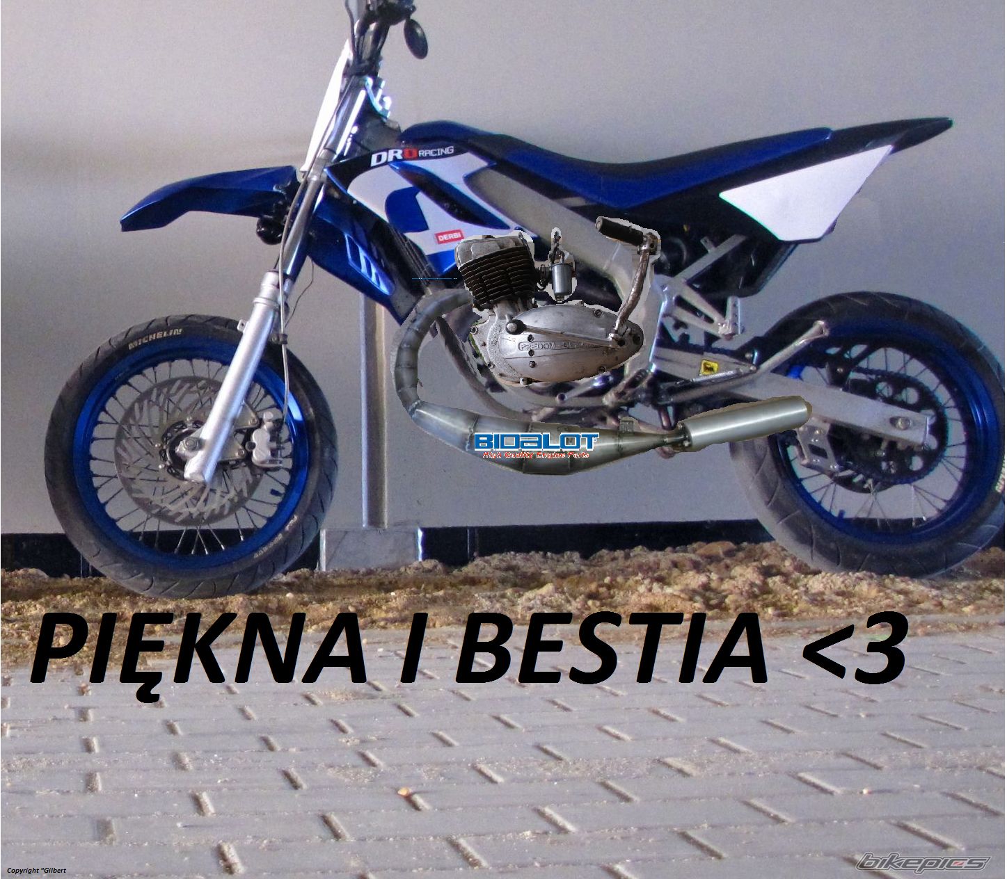 Photo 2739342