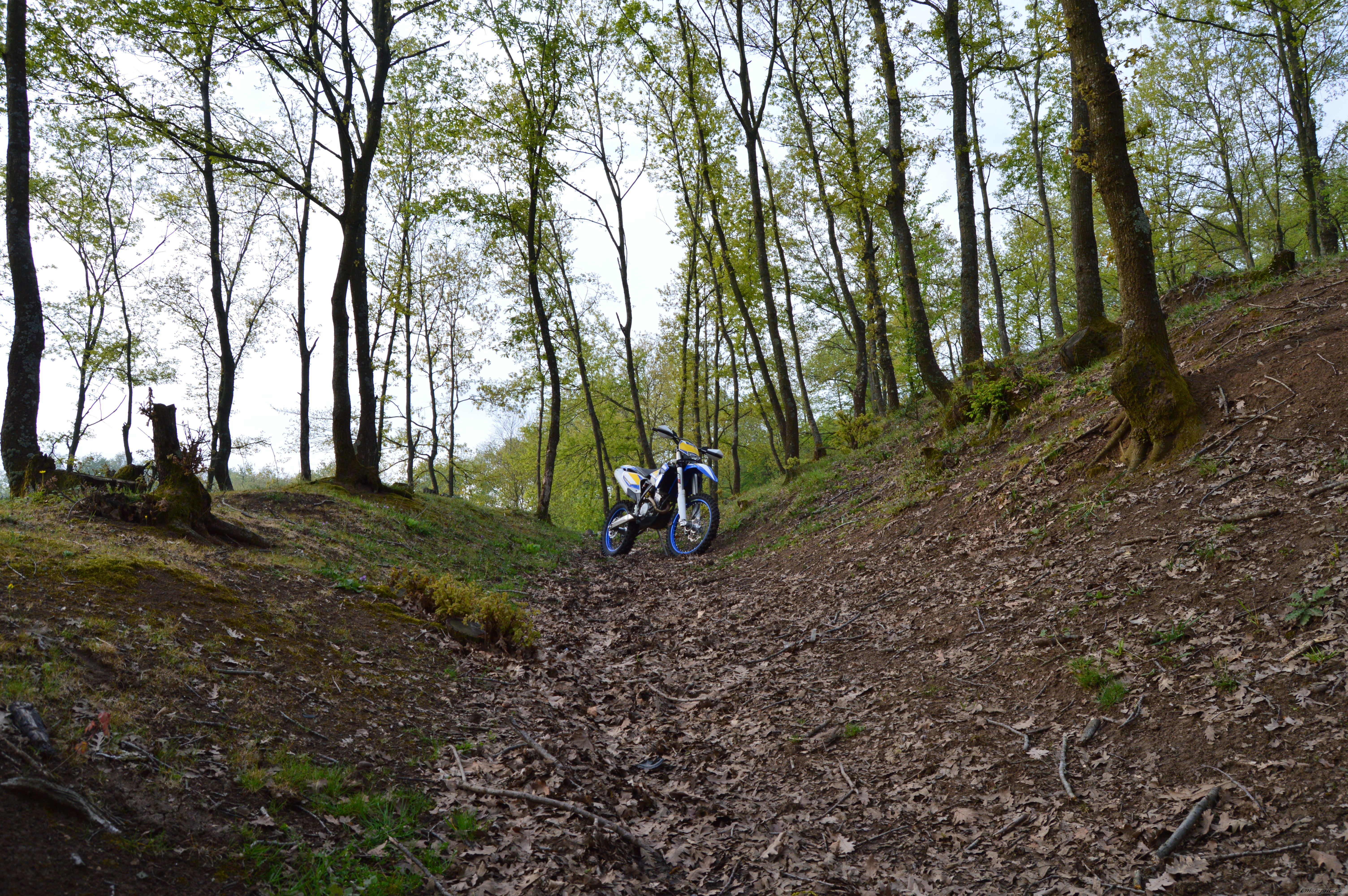 Bike Photo 2739449