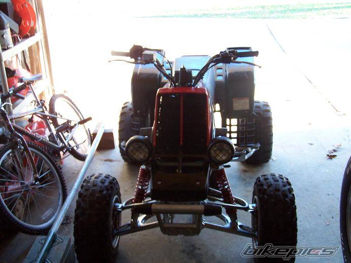 Photo 273946