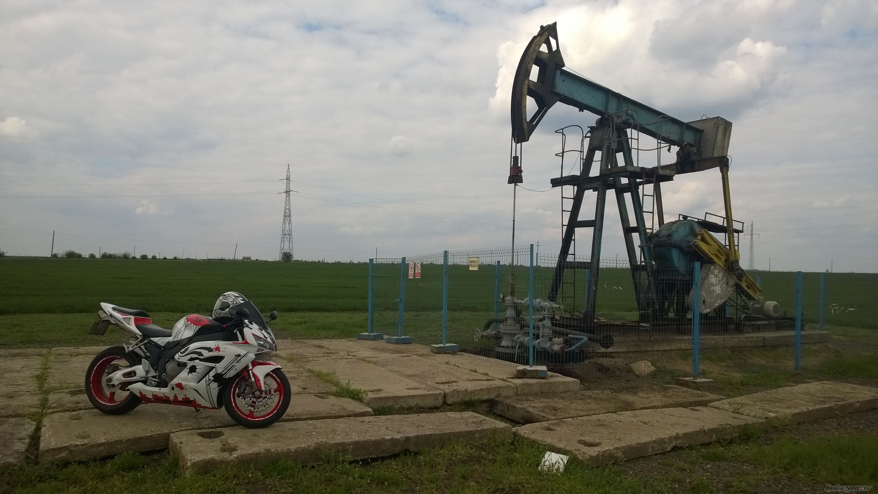 Photo 2739489