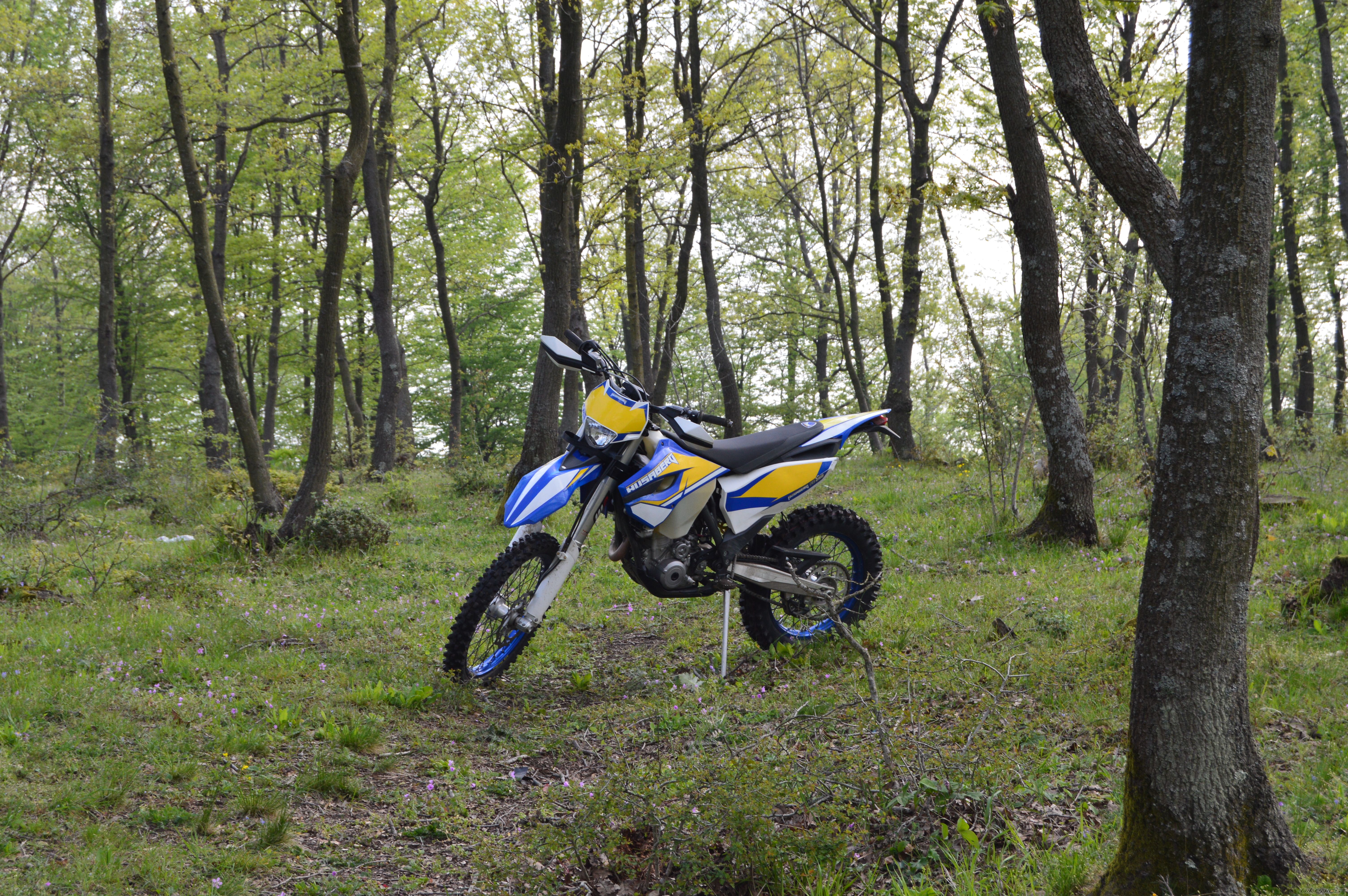Photo 2739491