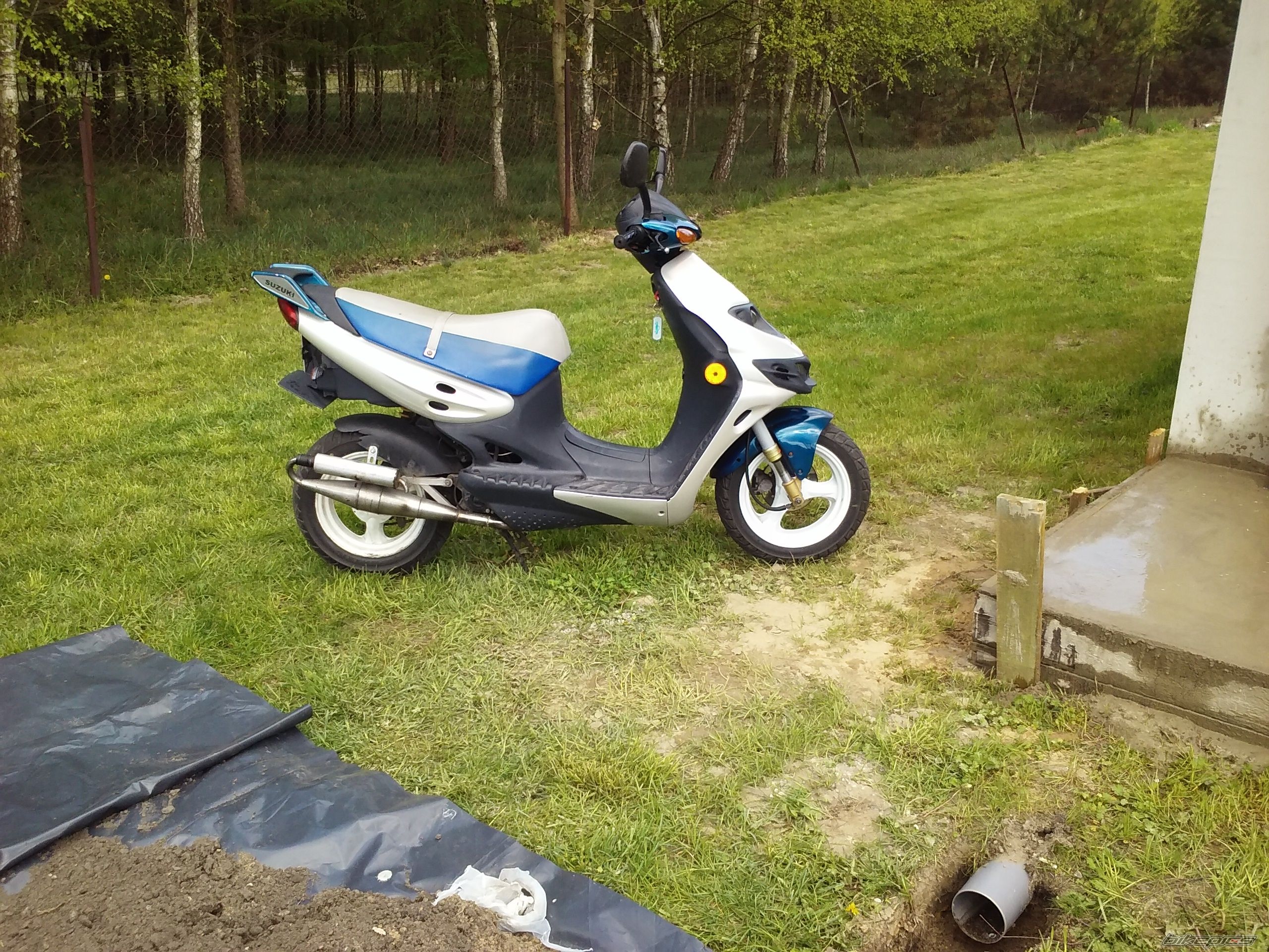 Photo 2739494