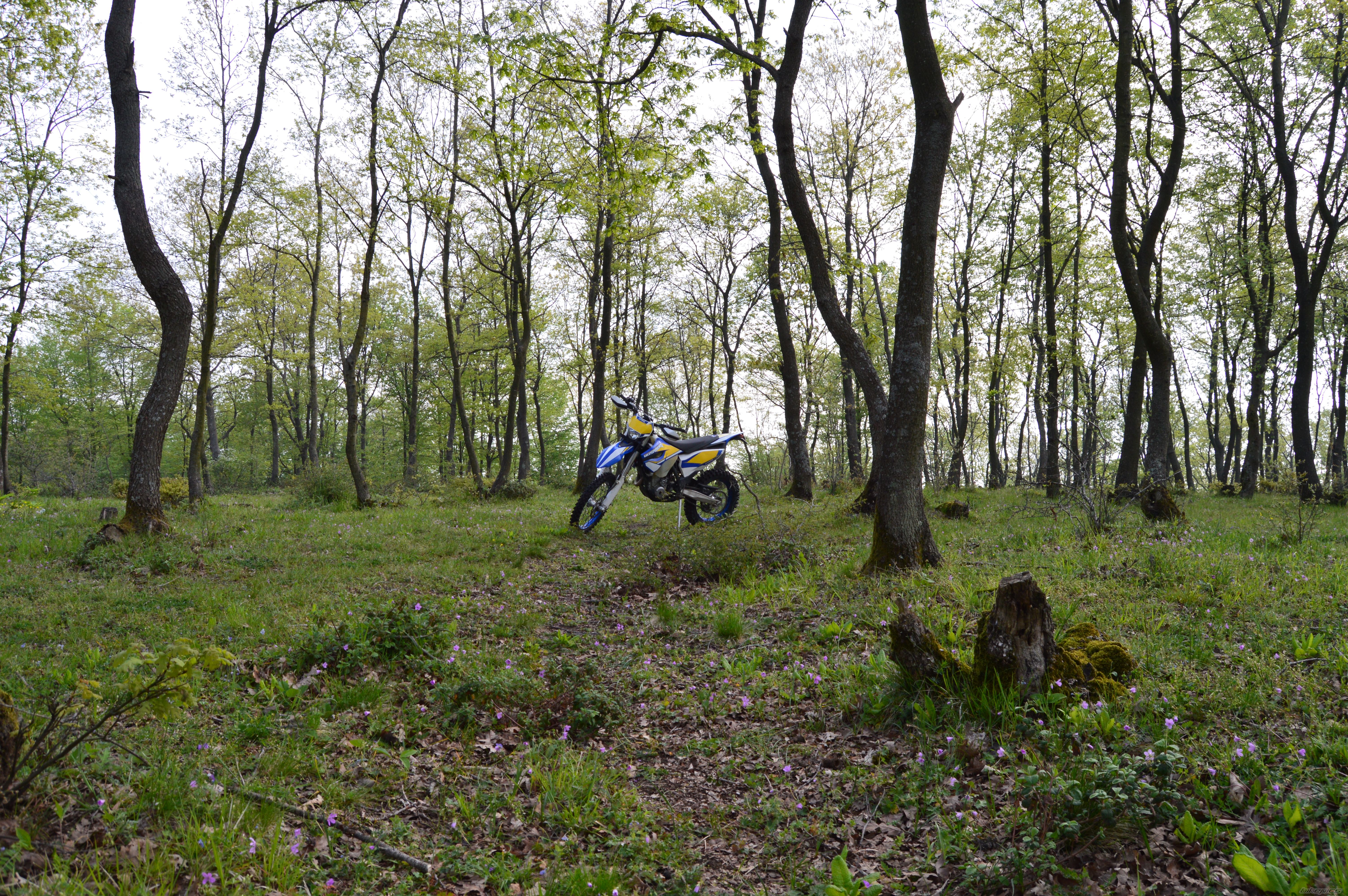 Photo 2739512