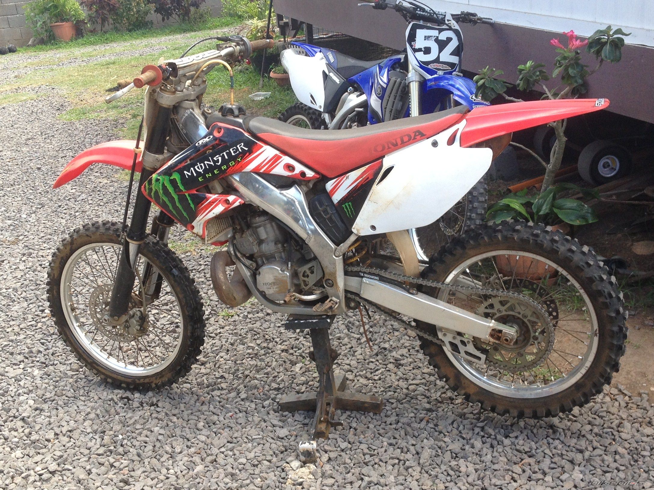 Photo 2739514