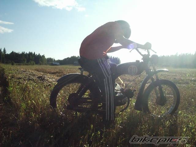 Photo 273957