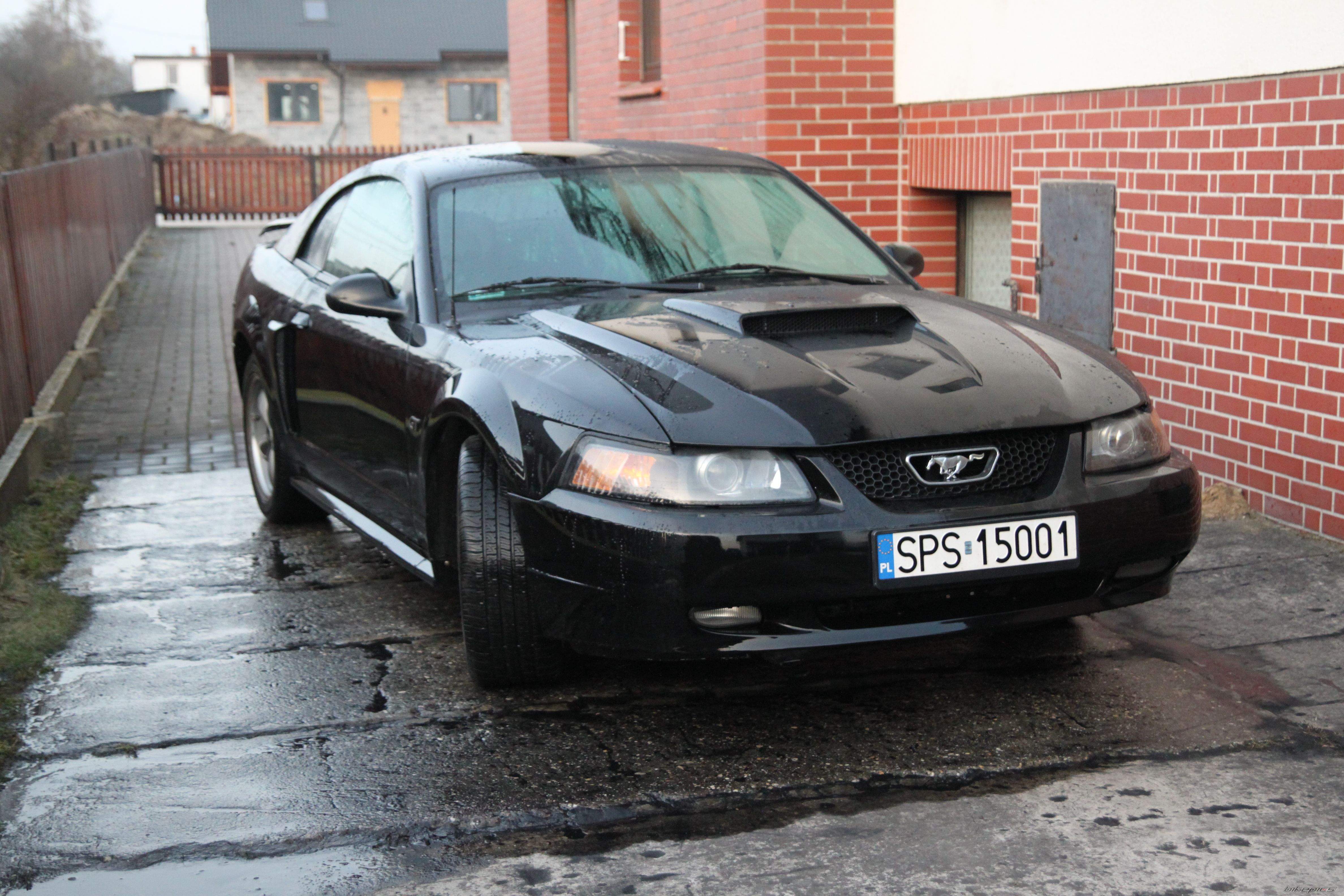 Photo 2739570