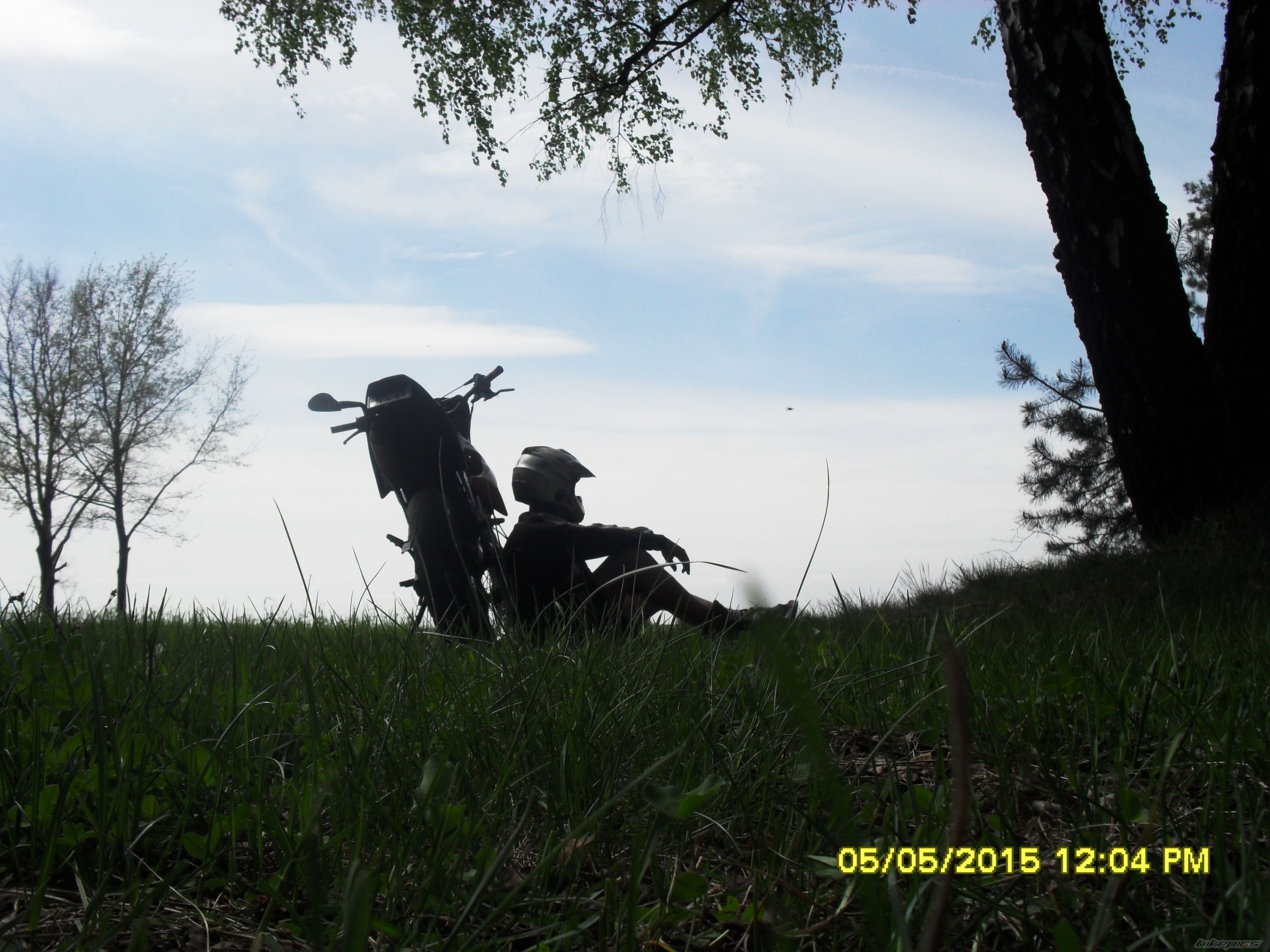 Photo 2739614