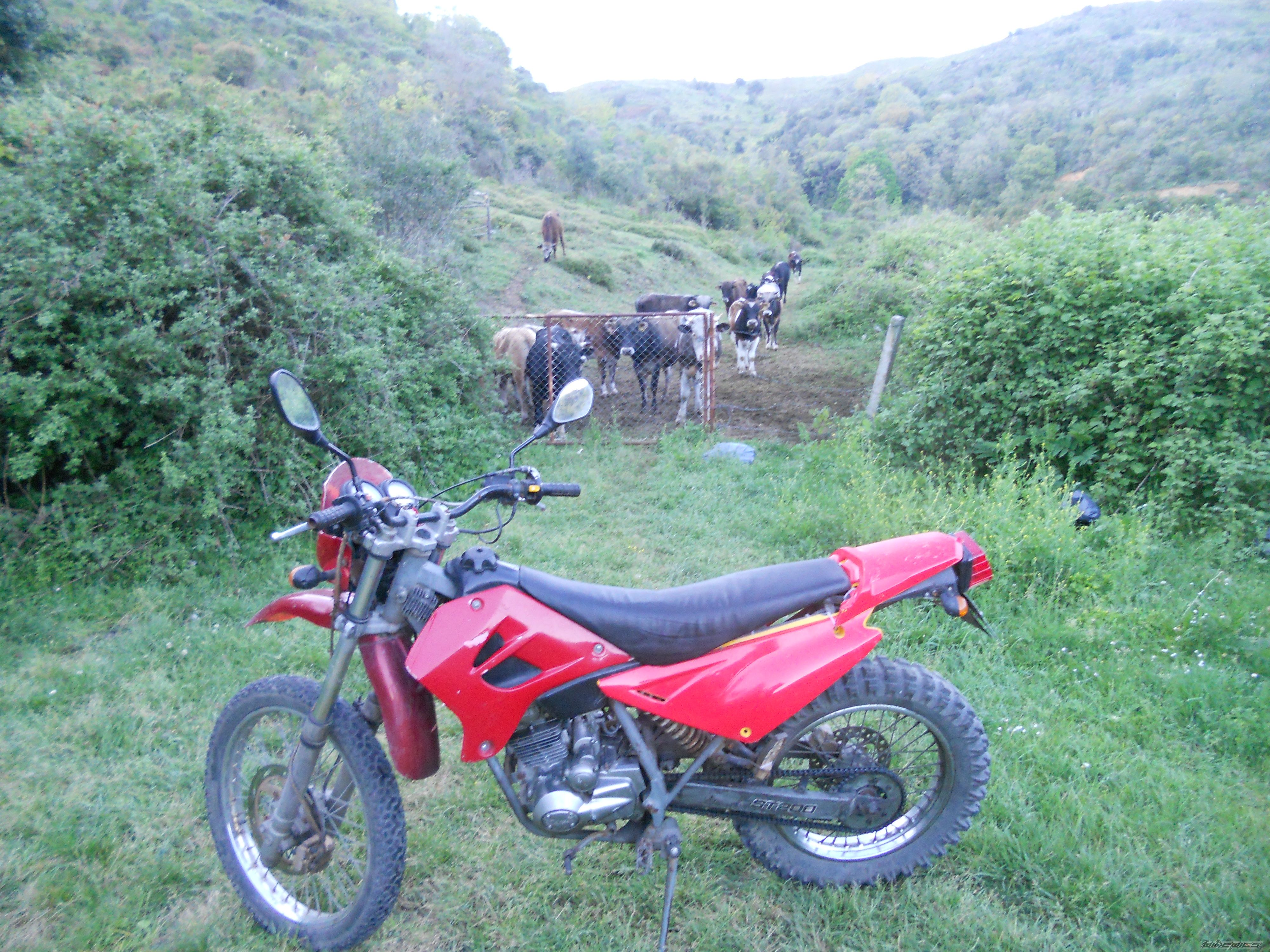 Bike Photo 2739717