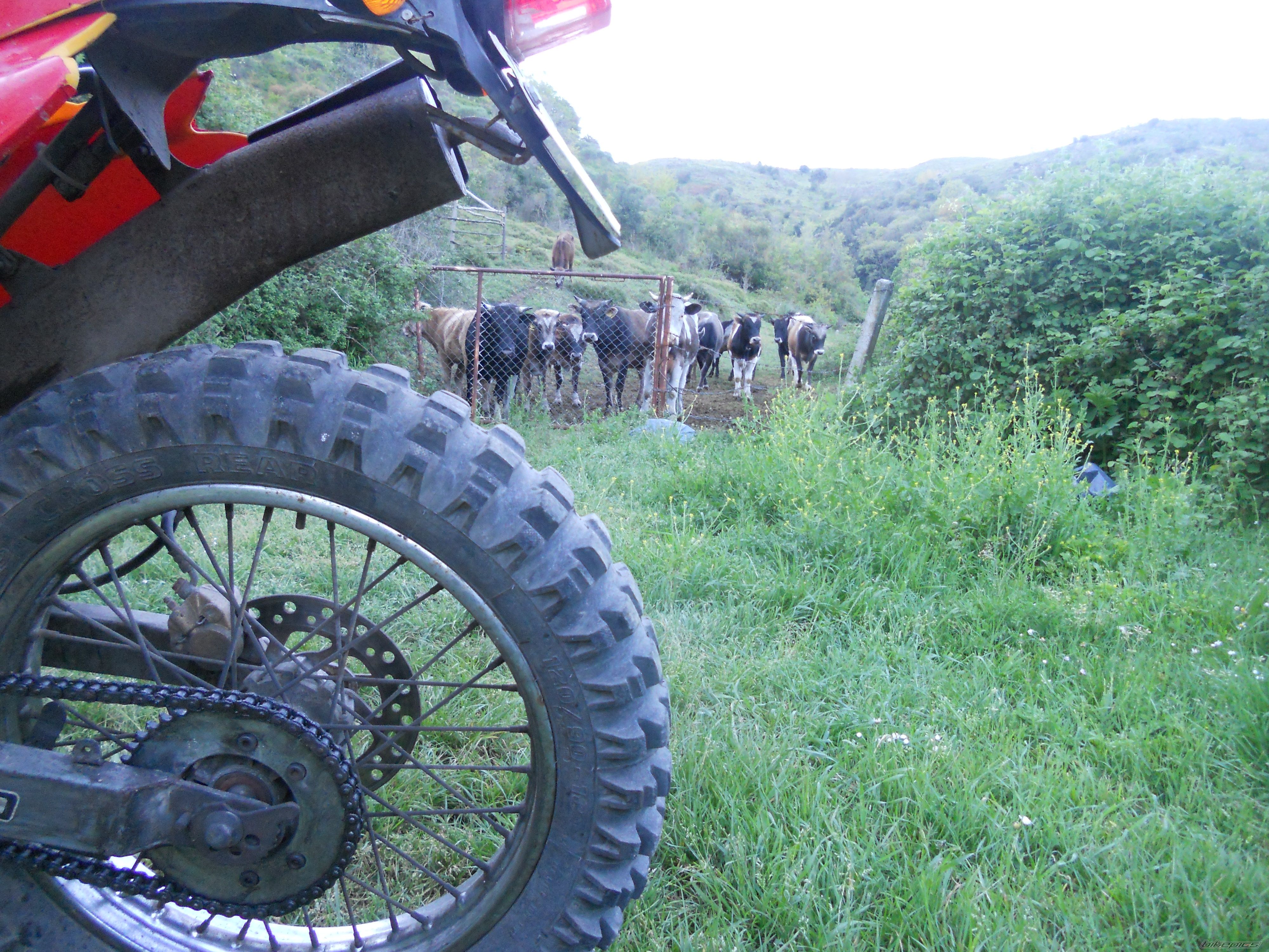 Bike Photo 2739718