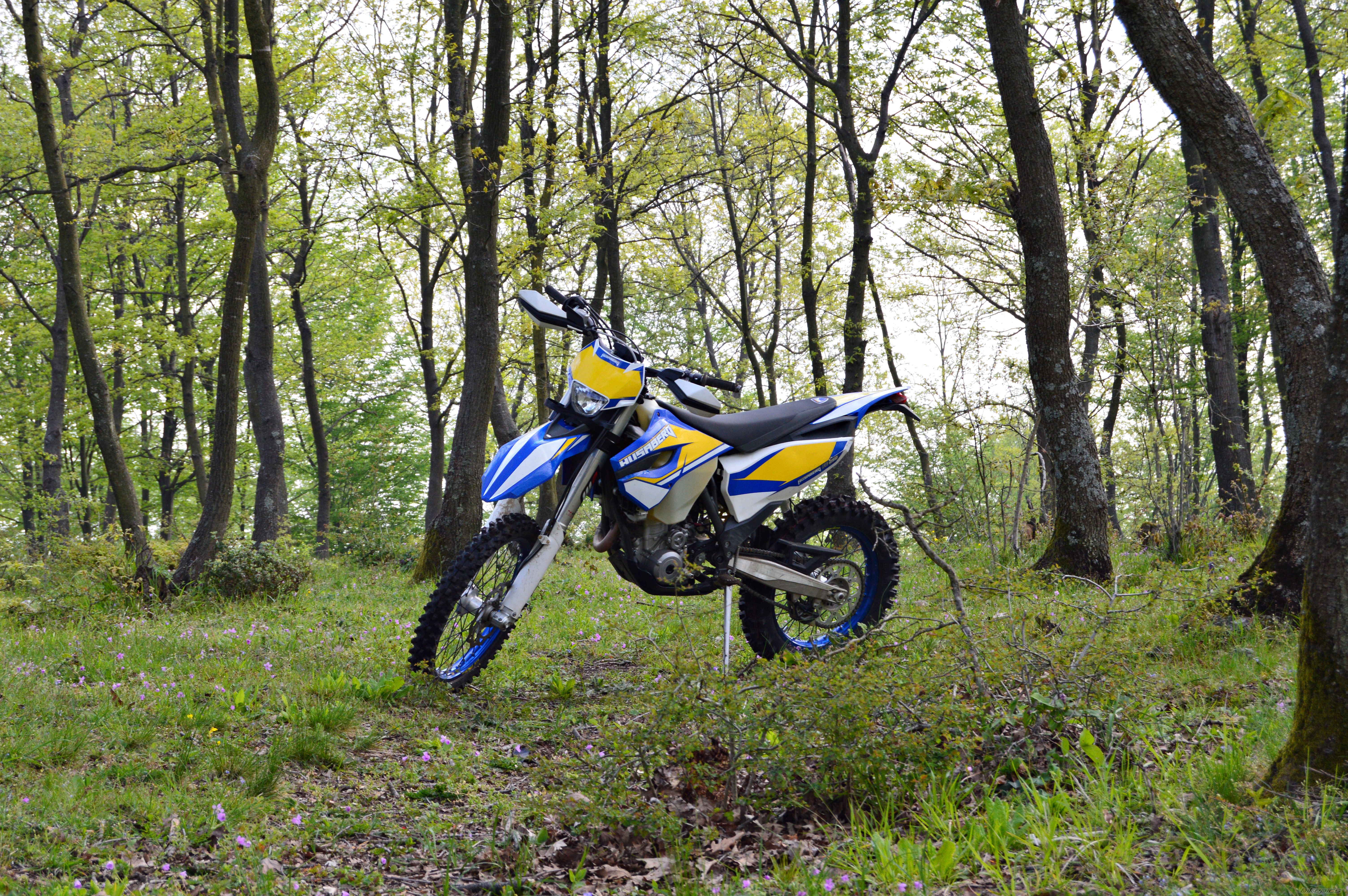 Bike Photo 2739745