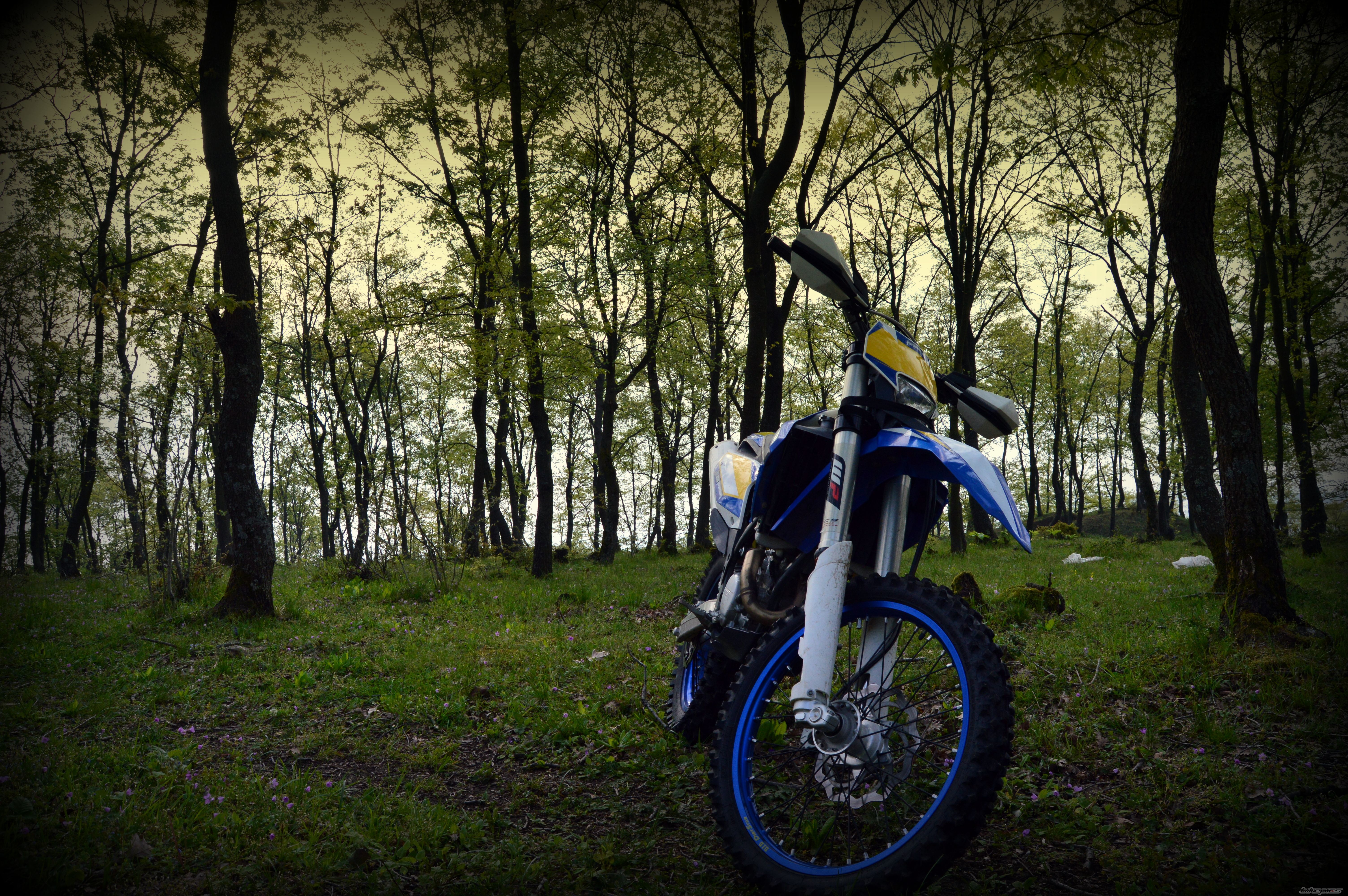 Photo 2739746