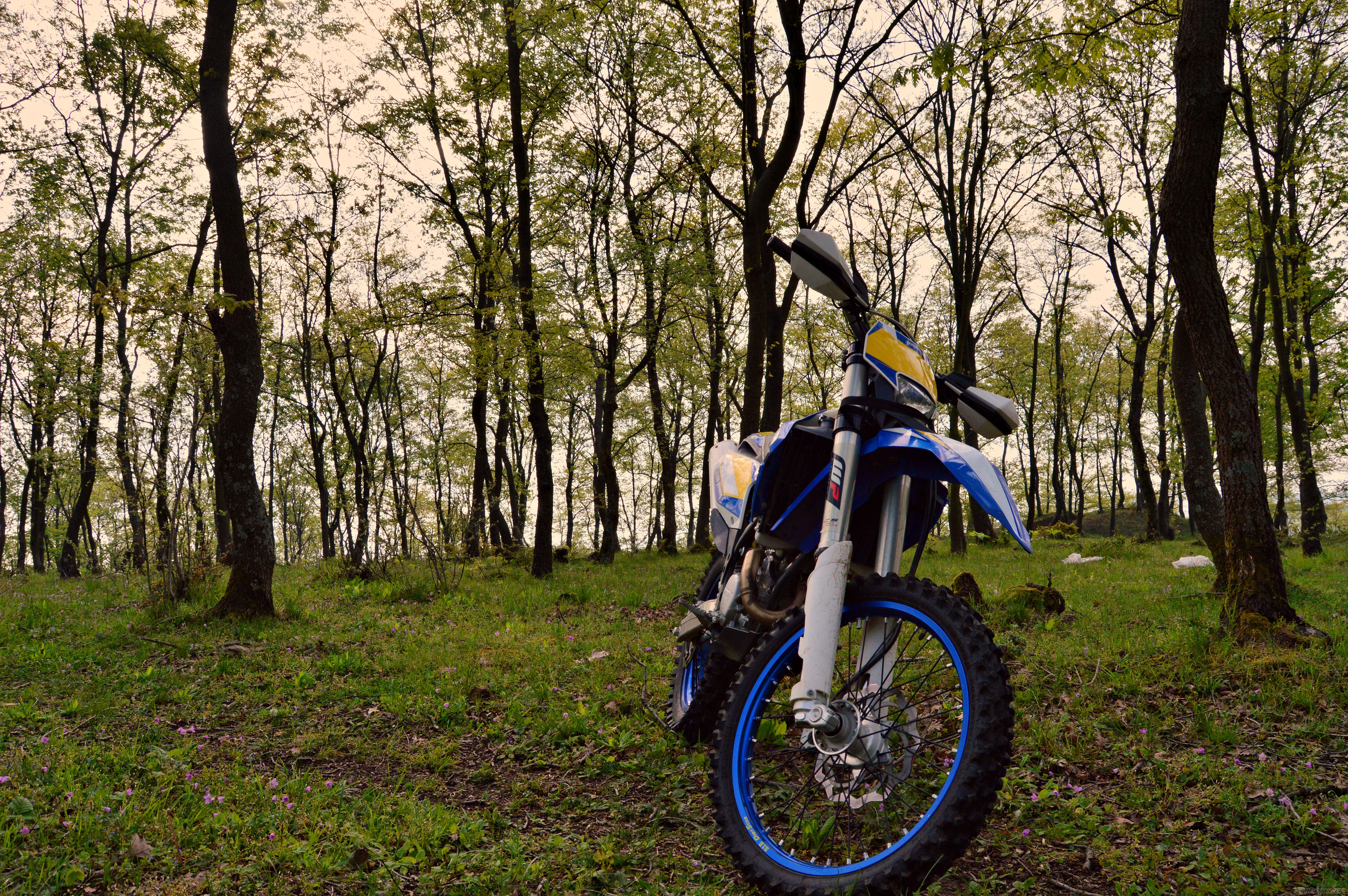 Photo 2739747