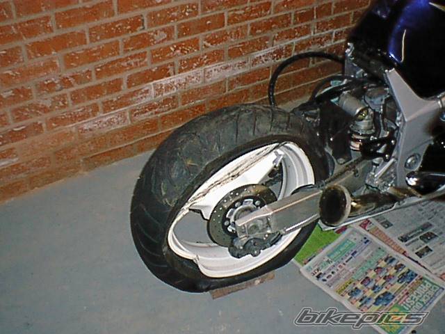 Photo 273987