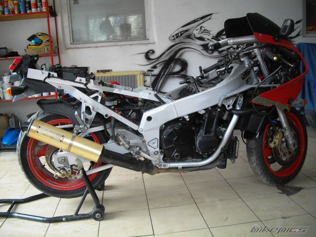Photo 2739894