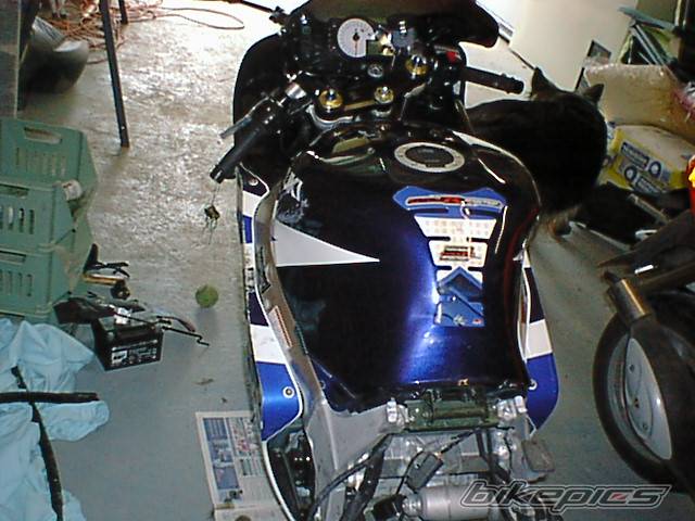 Photo 273991