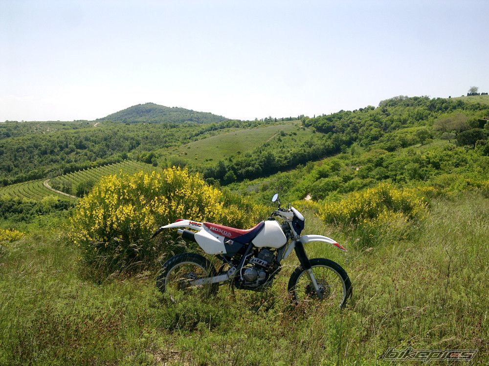 Photo 2739922