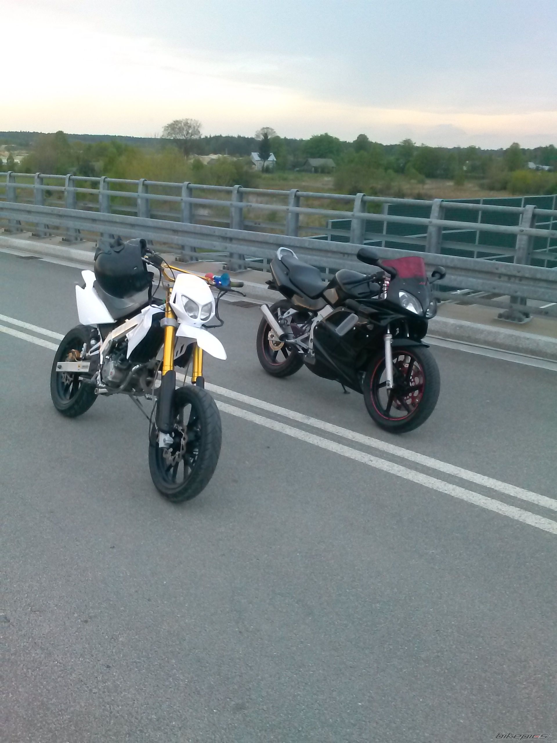 Photo 2739953