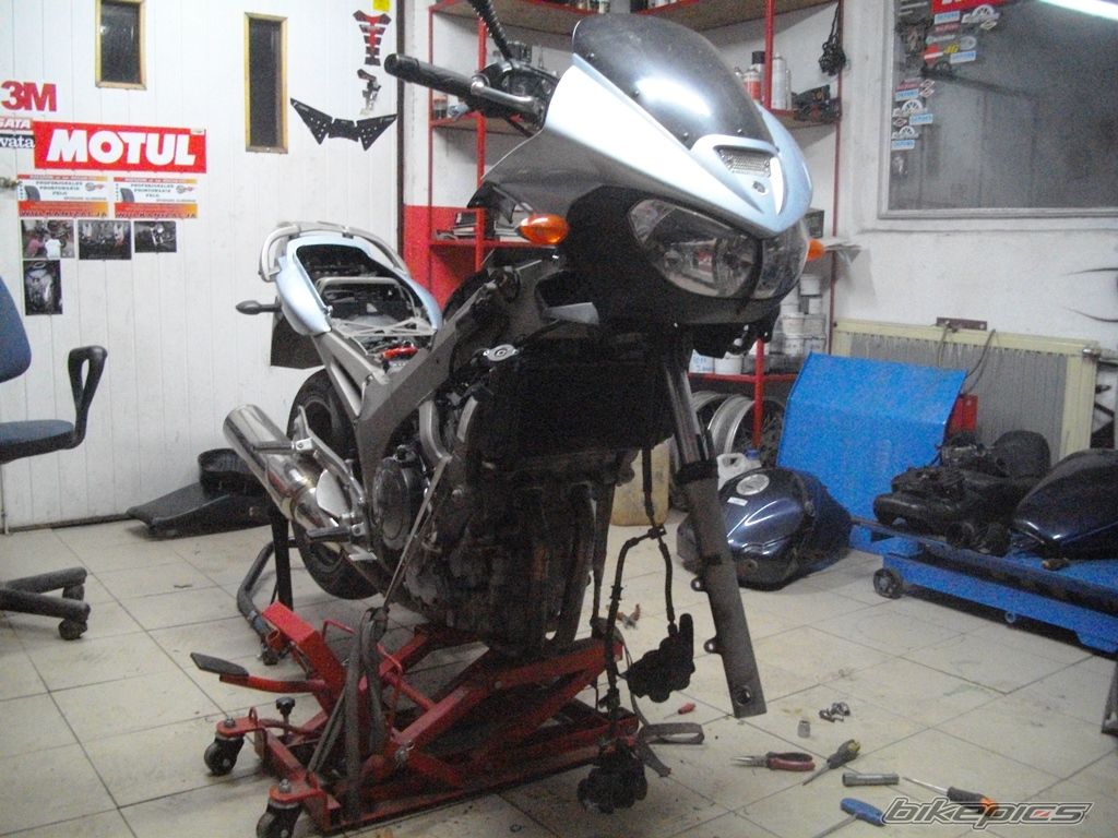 Photo 2740054
