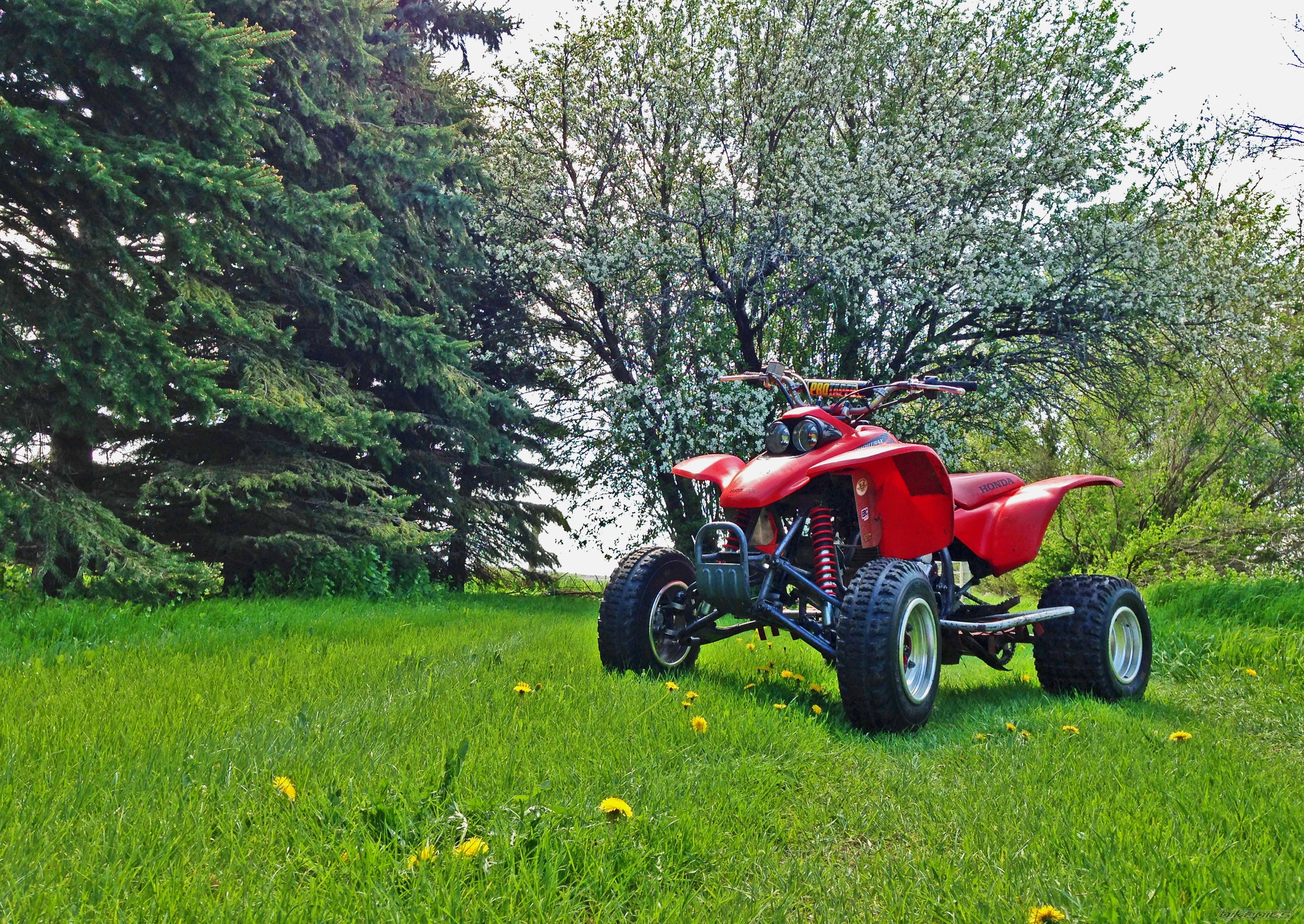 Bike Photo 2740244